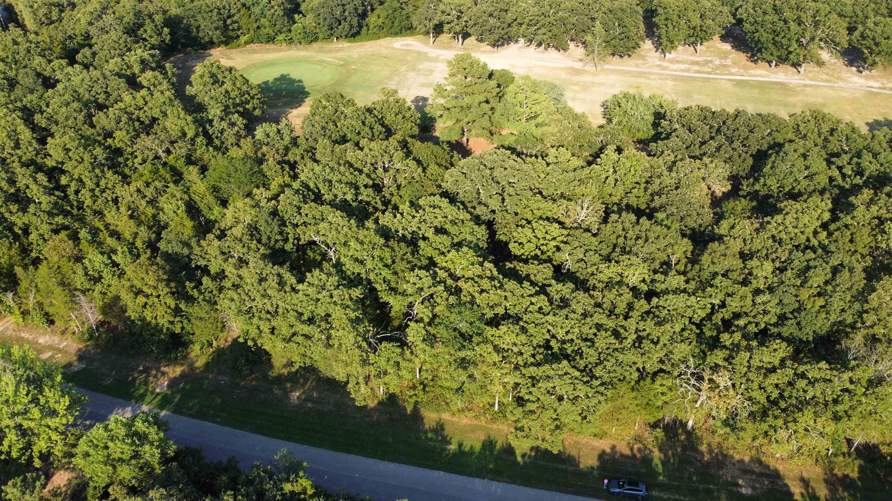Photo 4 - Vacant Land for sale – 325 W Green Valley   Horseshoe Bend, AR