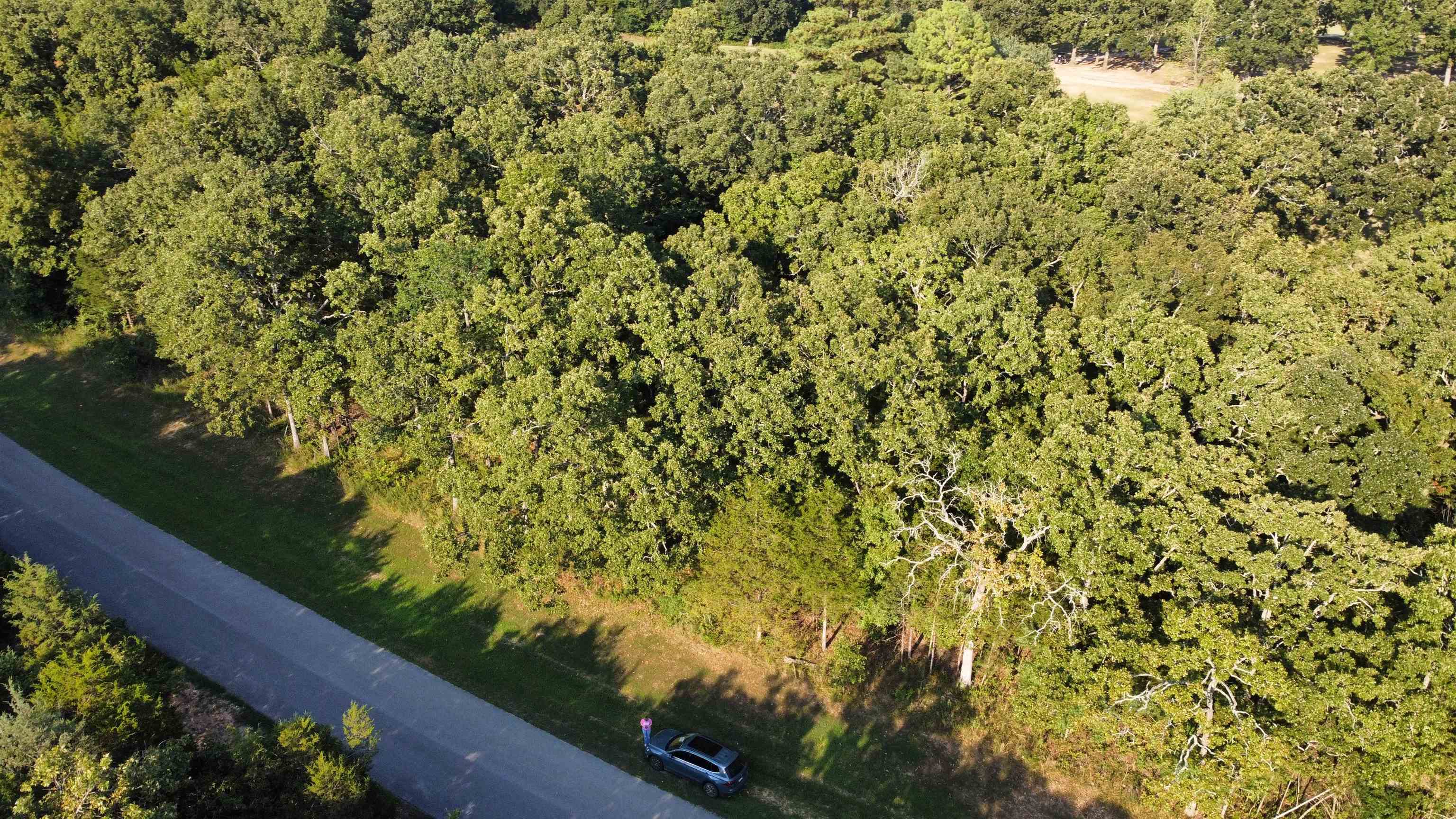 Photo 6 - Vacant Land for sale – 325 W Green Valley   Horseshoe Bend, AR