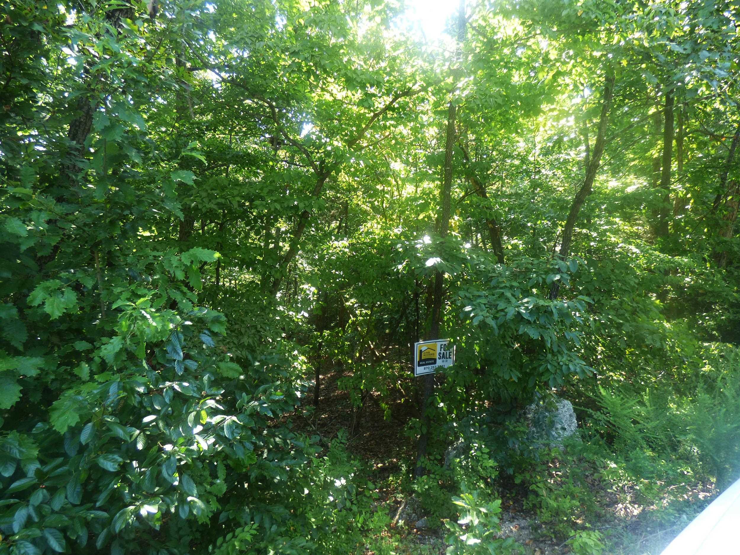Photo 3 - Vacant Land for sale –   Chesapeake   Cherokee Village, AR