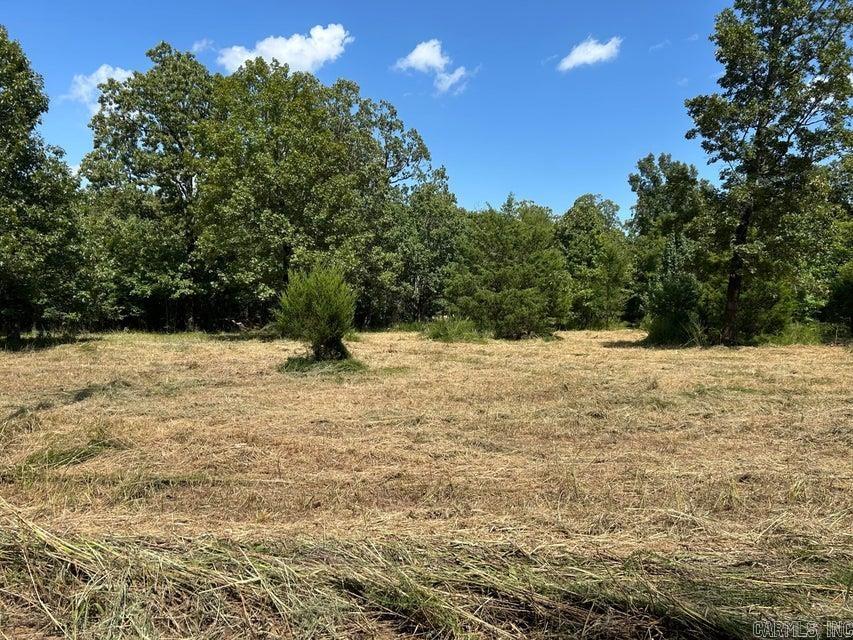 Vacant Land for sale – 700  Rocky   Thida, AR