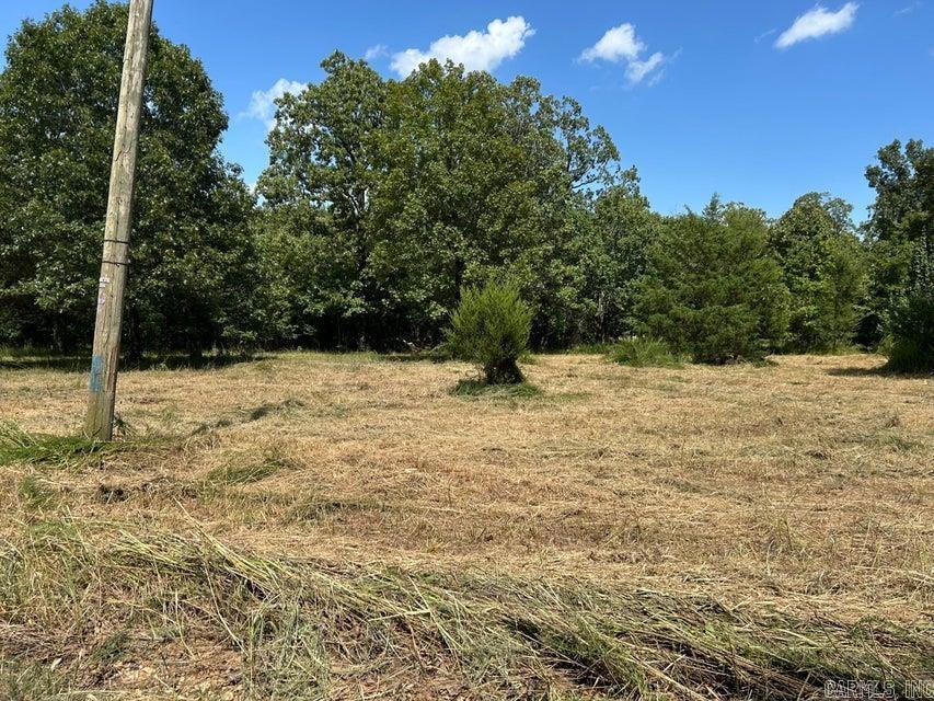 Photo 2 - Vacant Land for sale – 700  Rocky   Thida, AR