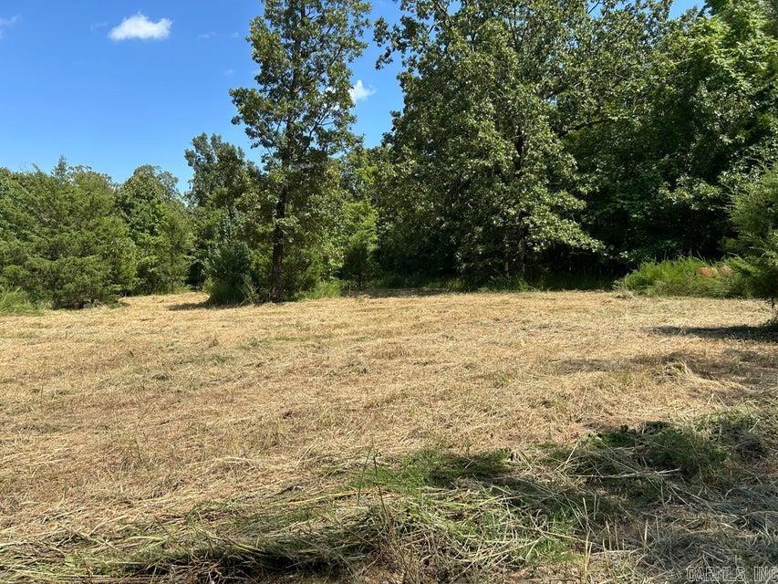 Photo 3 - Vacant Land for sale – 700  Rocky   Thida, AR