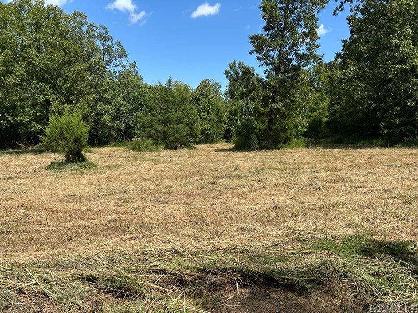 Photo 4 - Vacant Land for sale – 700  Rocky   Thida, AR