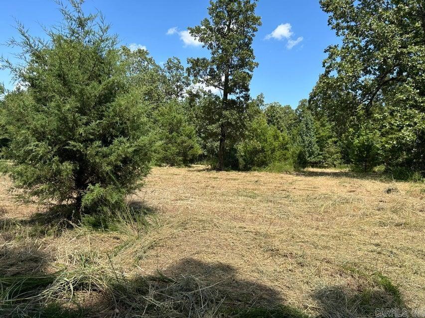Photo 5 - Vacant Land for sale – 700  Rocky   Thida, AR