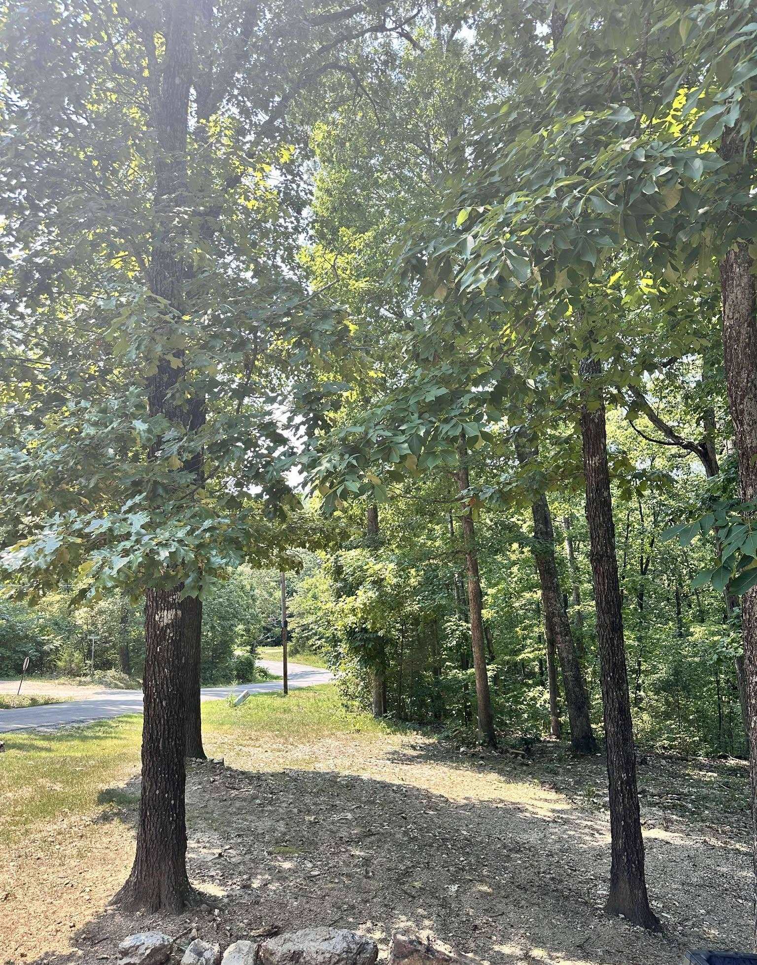 Photo 31 - Residential for sale – 120  Frontier   Ozark Acres, AR