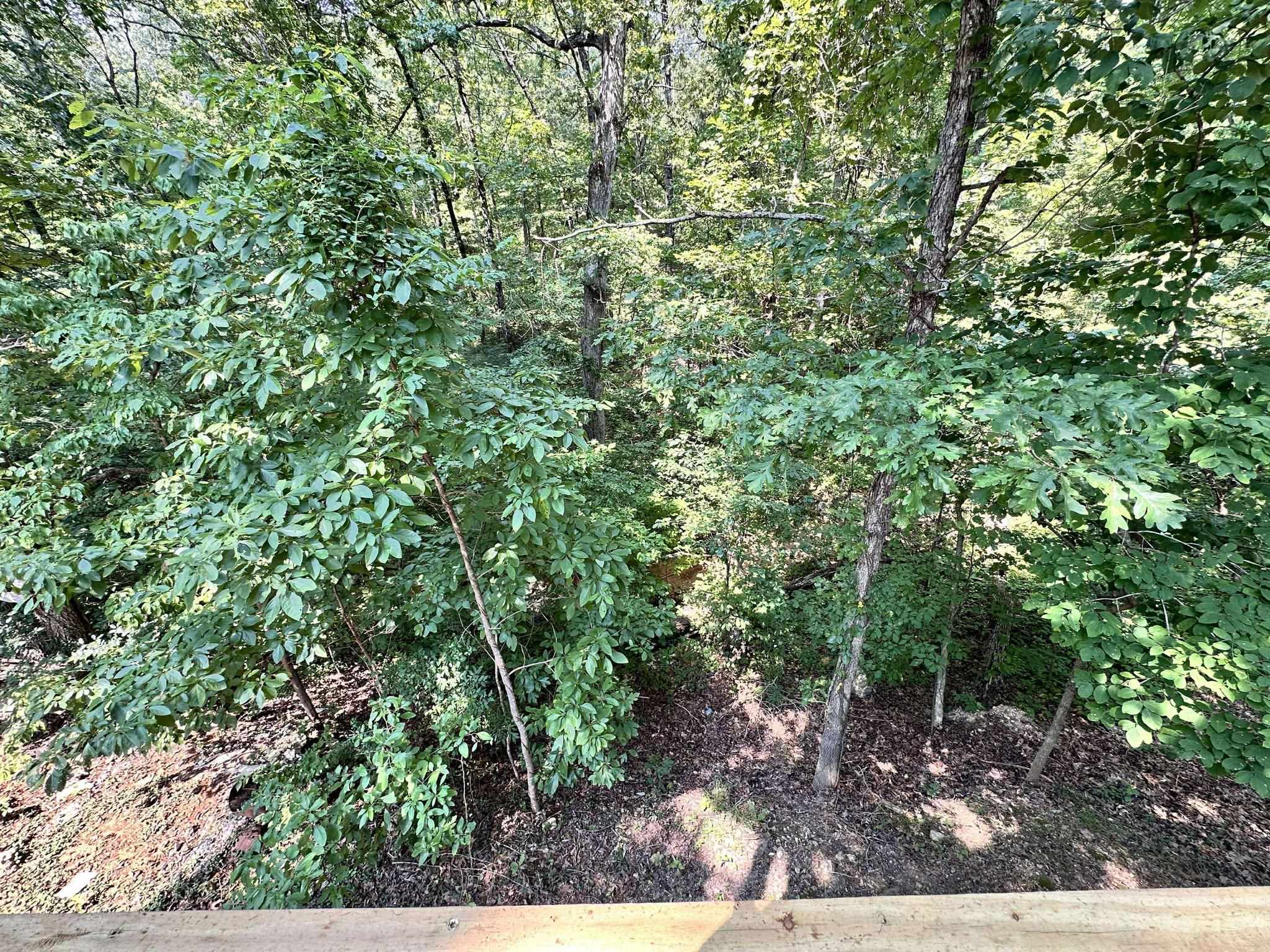 Photo 33 - Residential for sale – 120  Frontier   Ozark Acres, AR