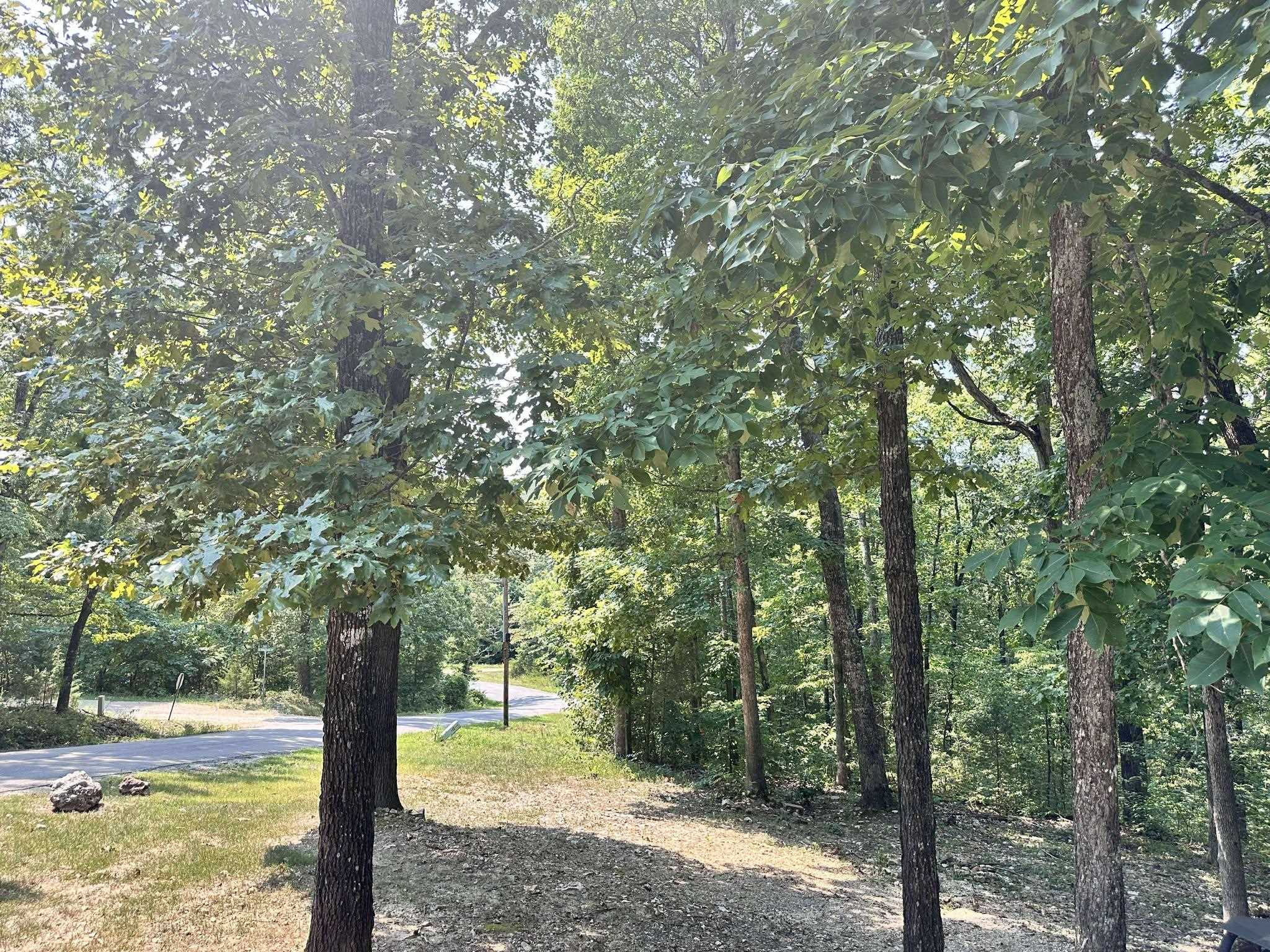 Photo 35 - Residential for sale – 120  Frontier   Ozark Acres, AR