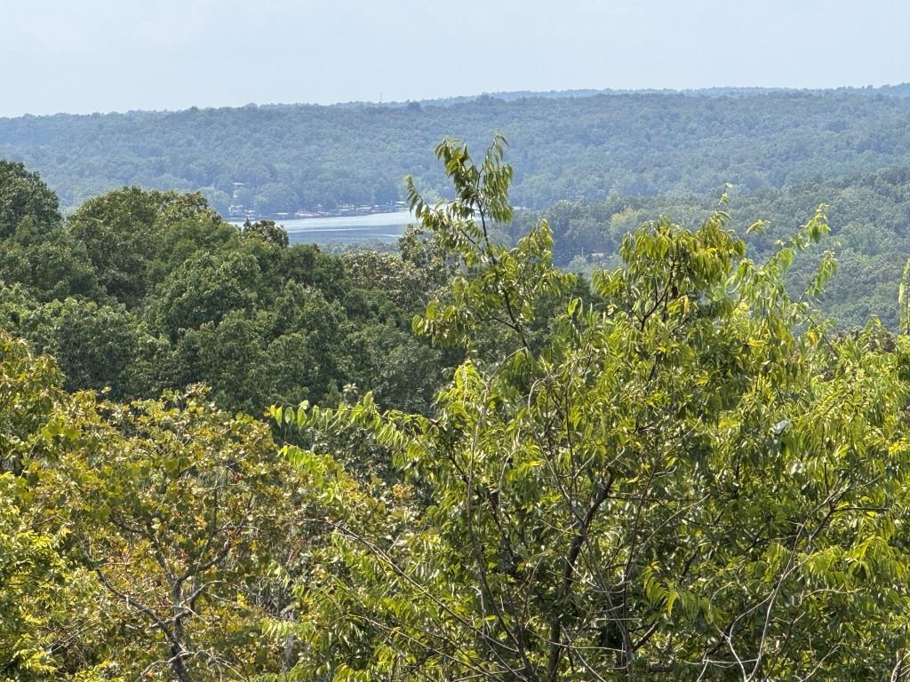 Photo 38 - Residential for sale – 2  Goti   Cherokee Village, AR