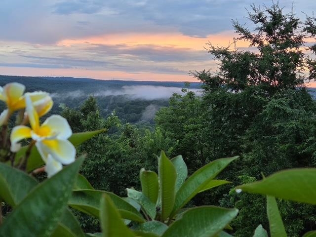 Photo 39 - Residential for sale – 2  Goti   Cherokee Village, AR