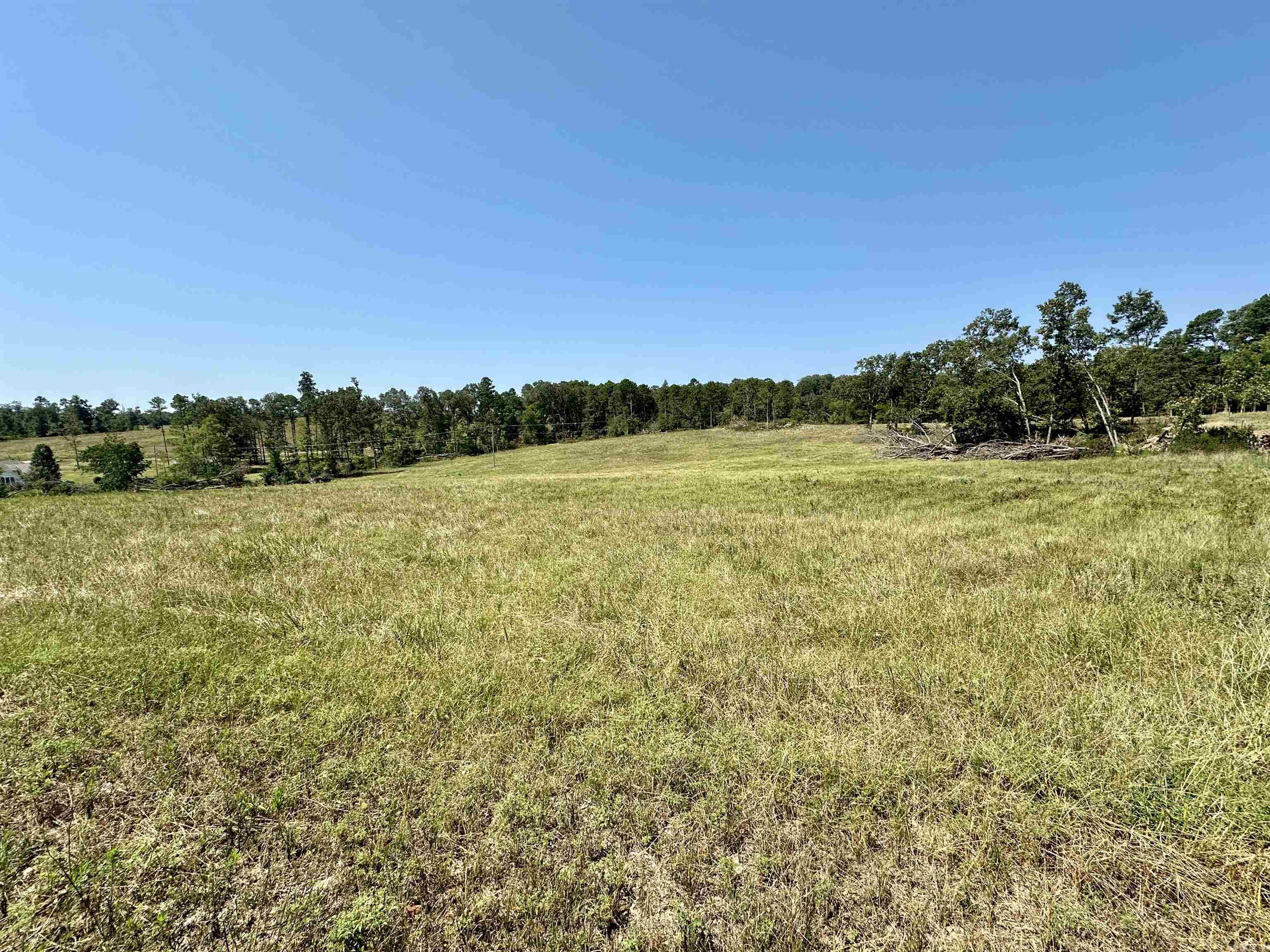 Photo 4 - Vacant Land for sale – 0  Cold Creek Lane   Cave City, AR