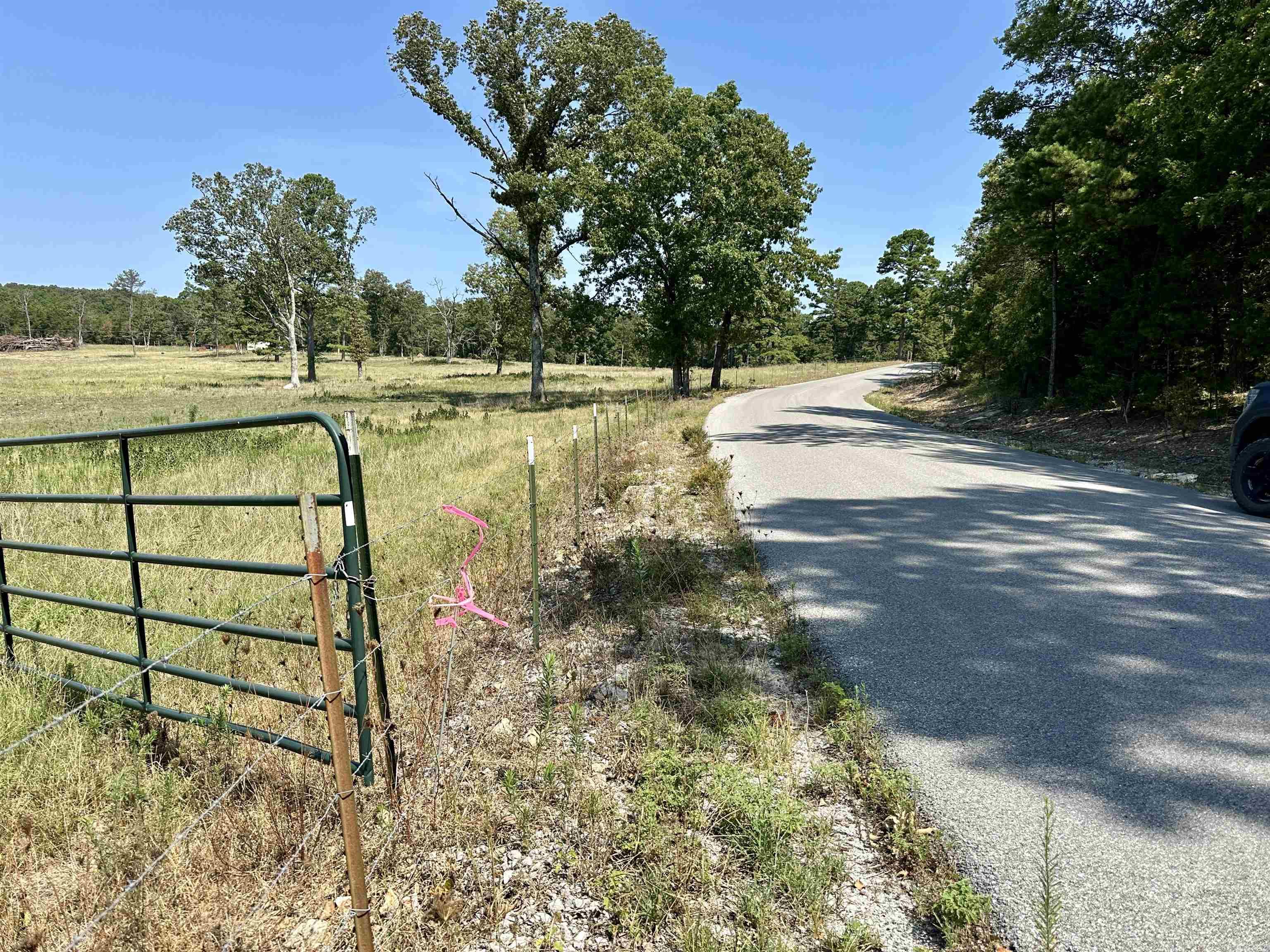 Photo 5 - Vacant Land for sale – 0  Cold Creek Lane   Cave City, AR
