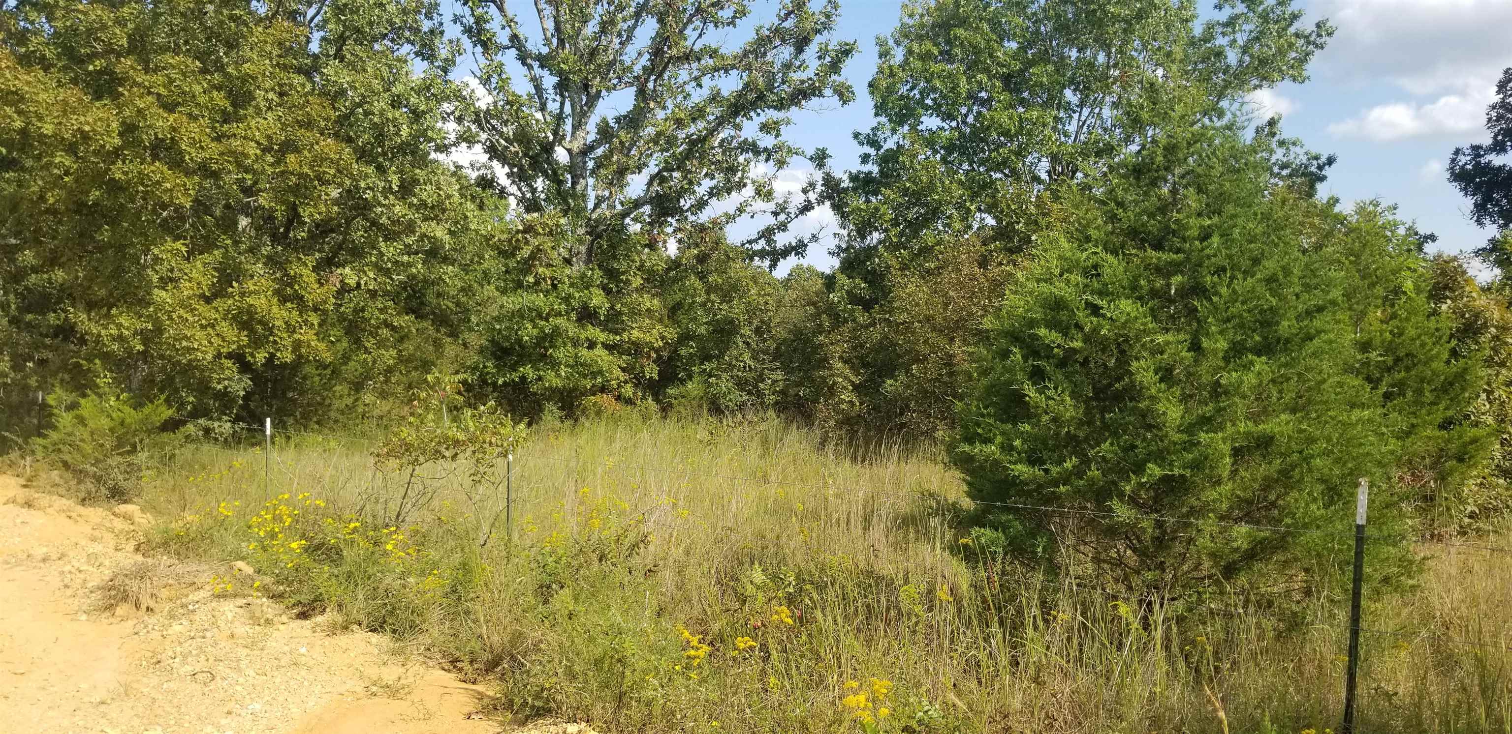 Photo 11 - Residential for sale – 3445  Magnolia   Salem, AR