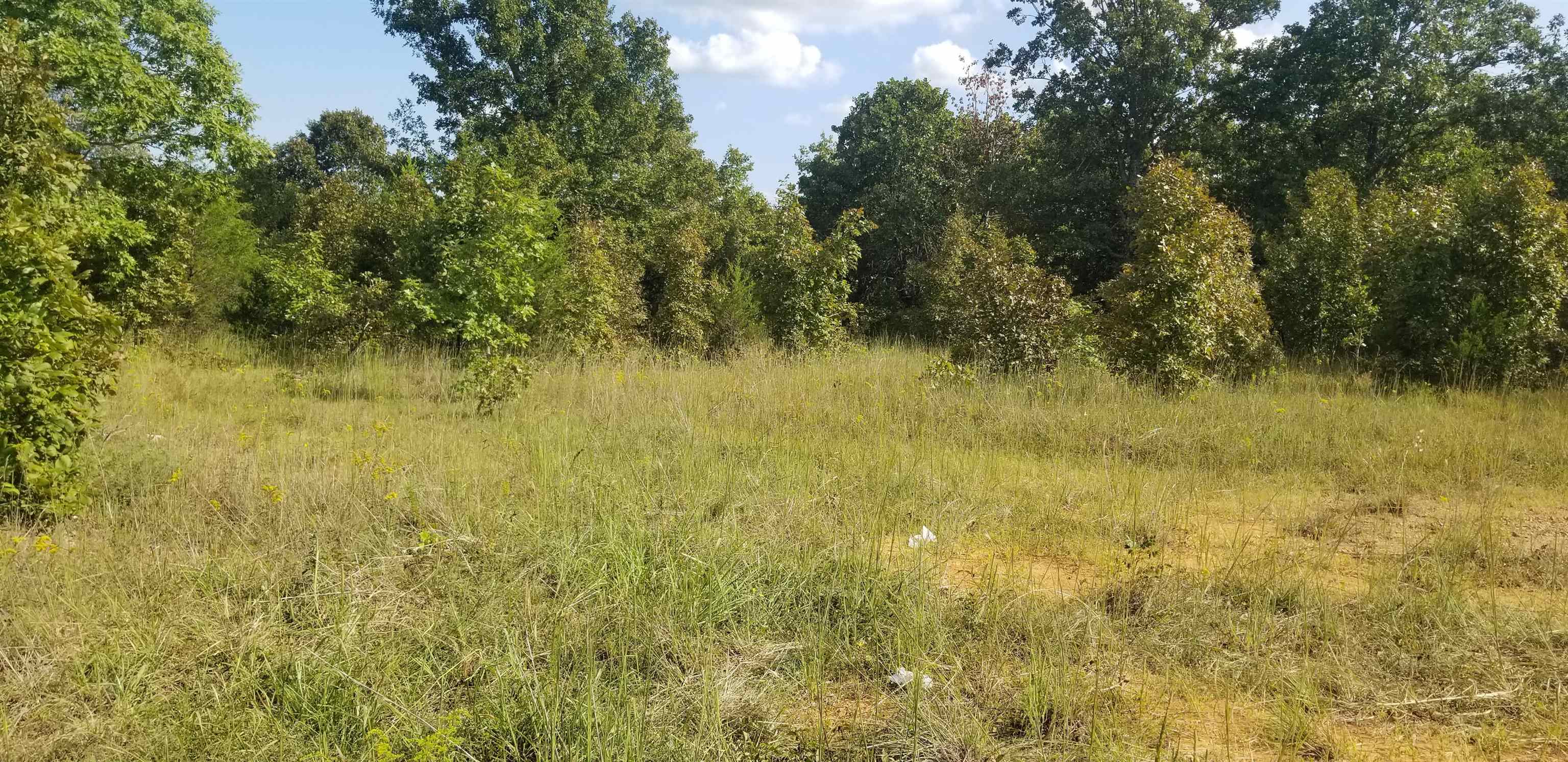 Photo 14 - Residential for sale – 3445  Magnolia   Salem, AR