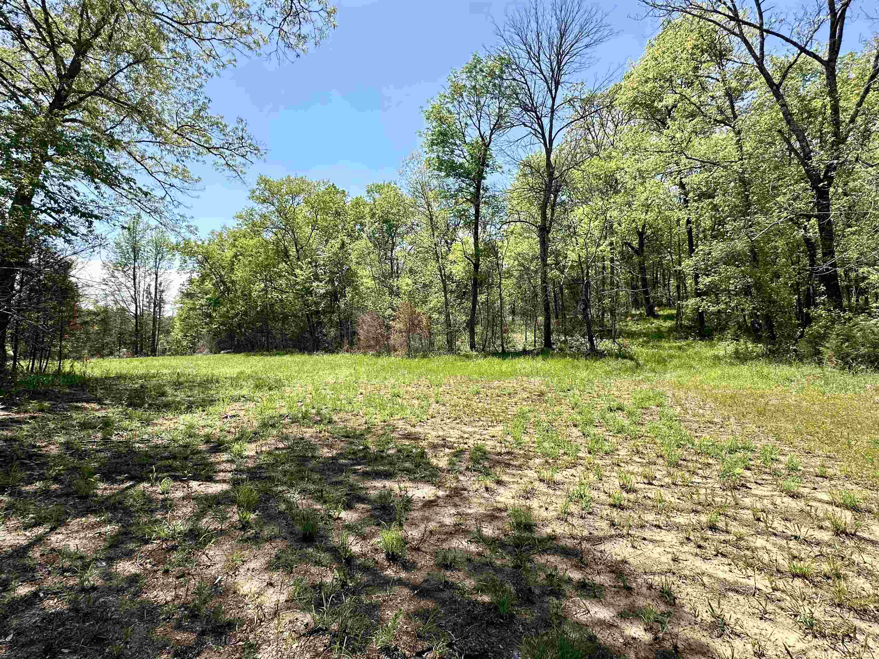 Photo 2 - Vacant Land for sale – 000 N Boswell Road   Calico Rock, AR