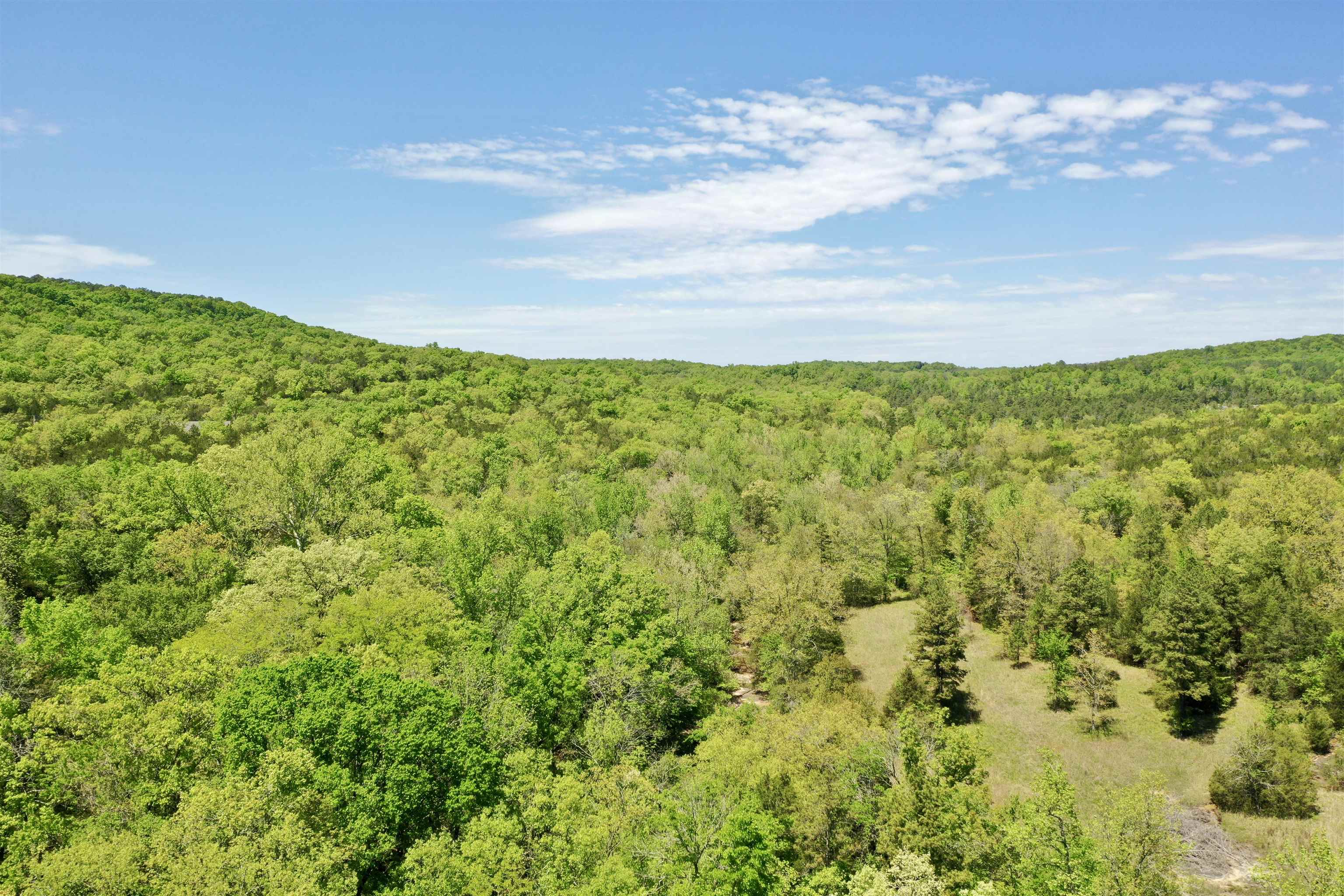Photo 11 - Vacant Land for sale – 000 N Boswell Road   Calico Rock, AR