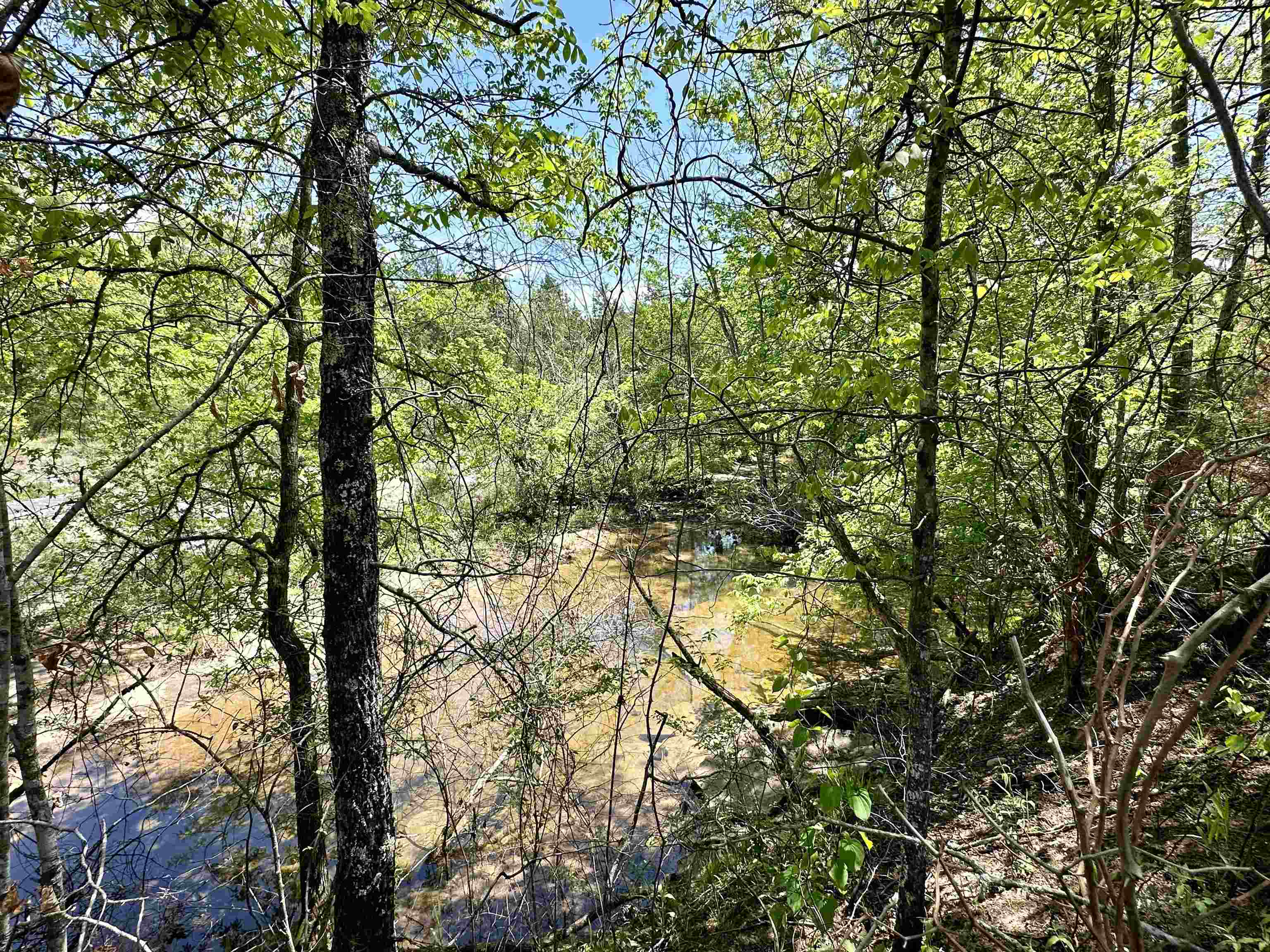 Photo 5 - Vacant Land for sale – 000 N Boswell Road   Calico Rock, AR