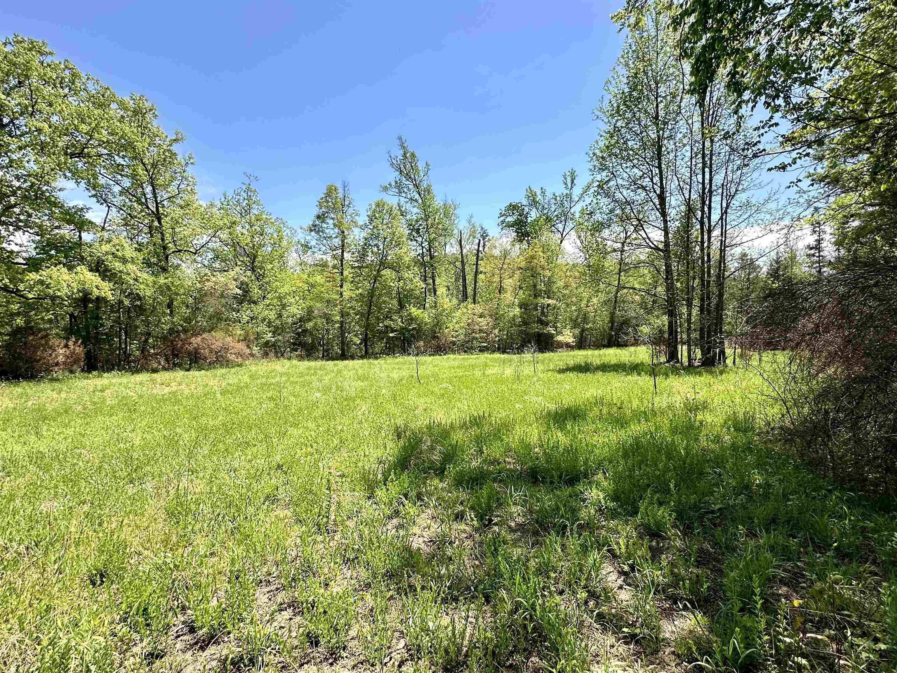 Photo 6 - Vacant Land for sale – 000 N Boswell Road   Calico Rock, AR