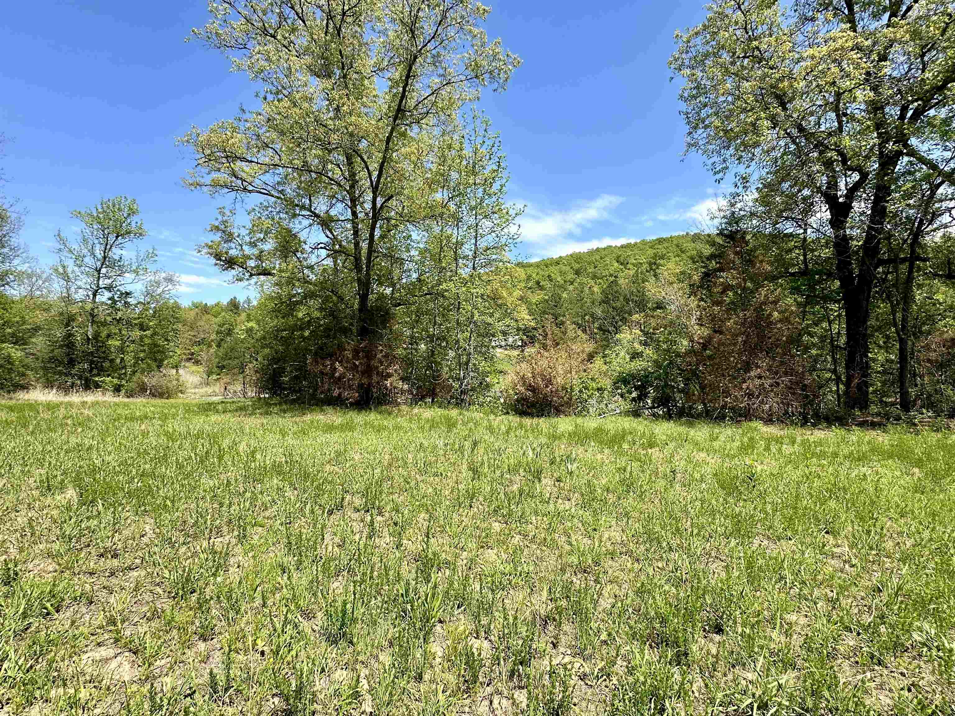 Photo 7 - Vacant Land for sale – 000 N Boswell Road   Calico Rock, AR