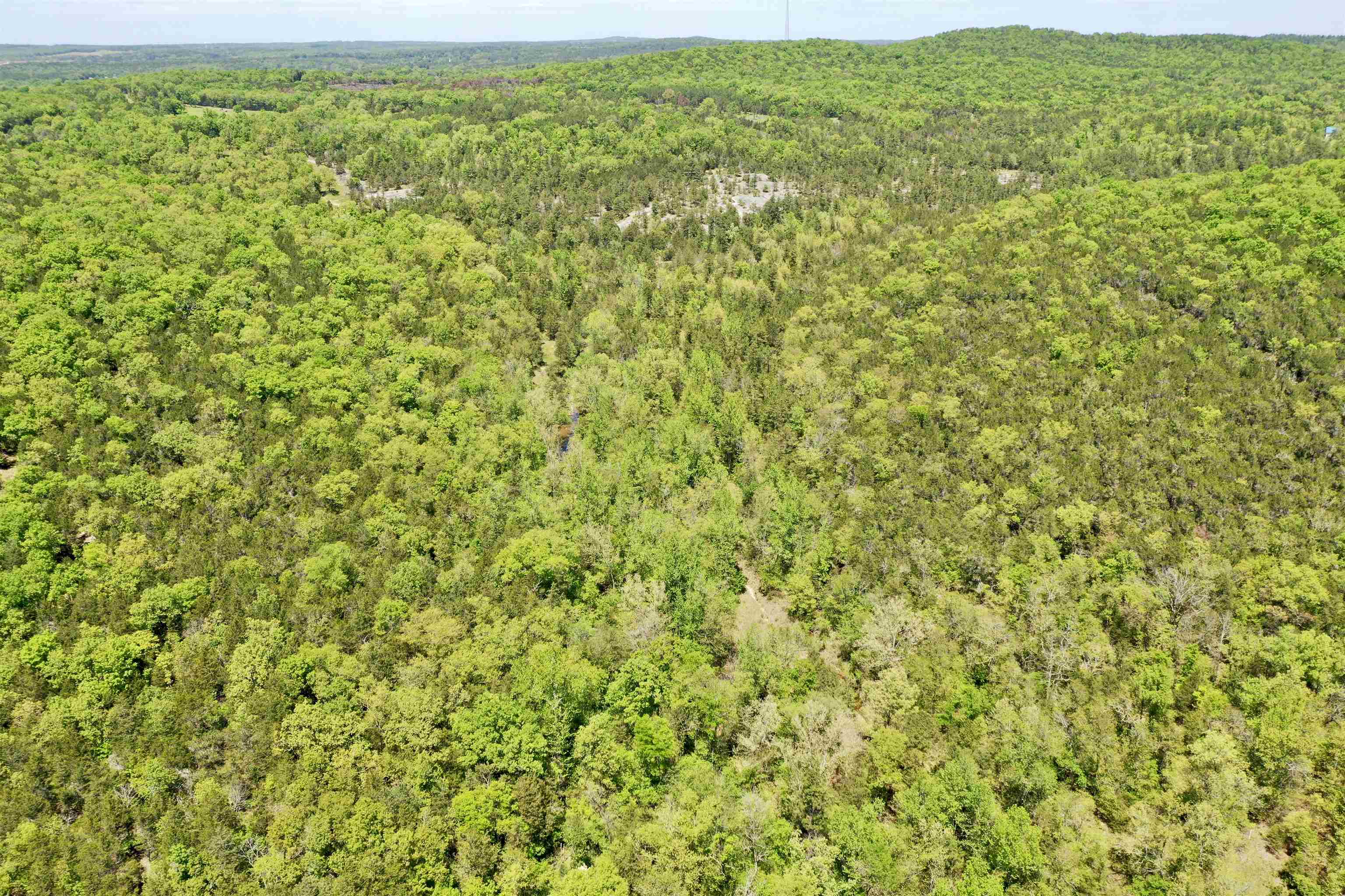 Photo 9 - Vacant Land for sale – 000 N Boswell Road   Calico Rock, AR