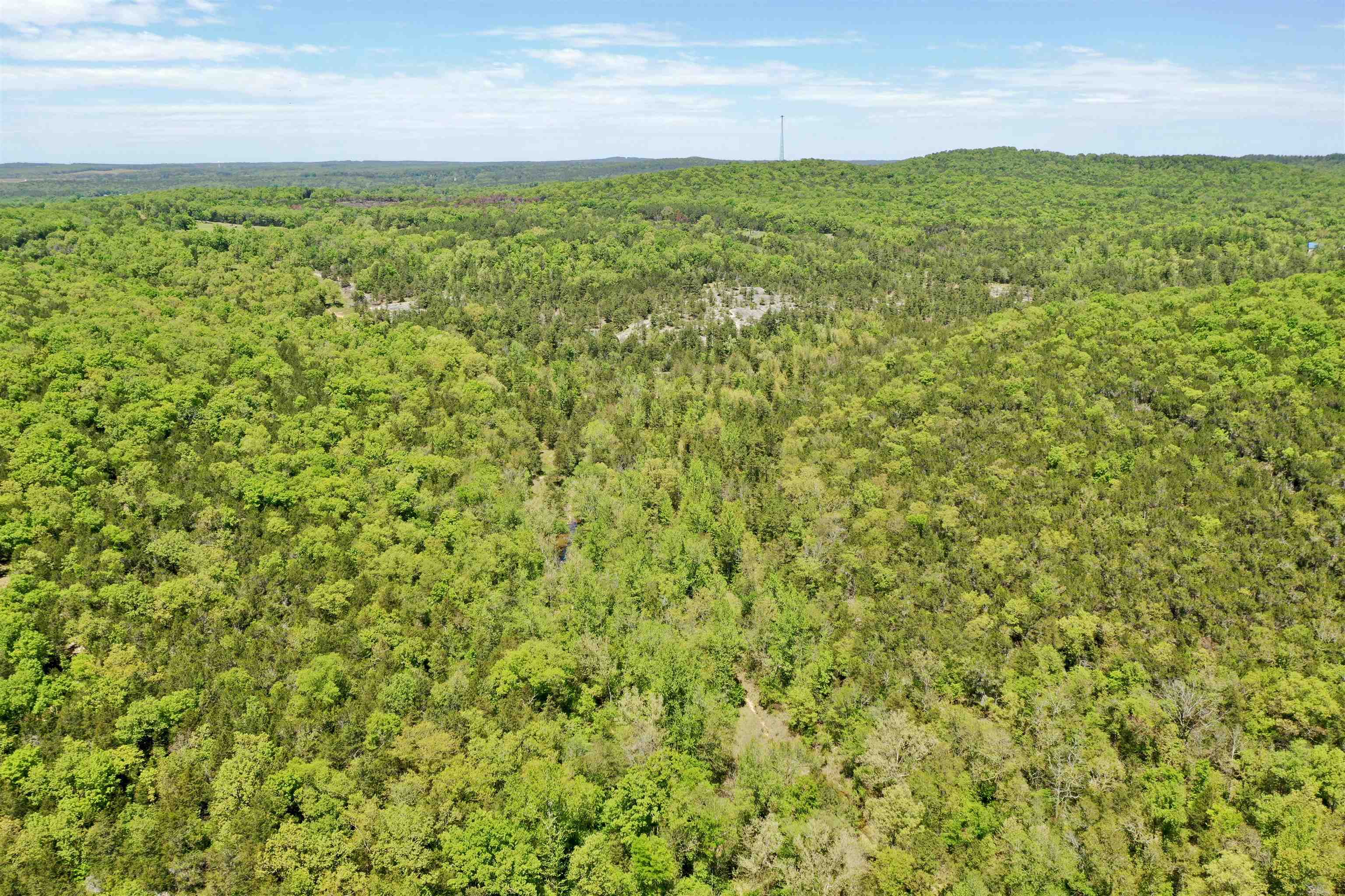 Photo 10 - Vacant Land for sale – 000 N Boswell Road   Calico Rock, AR