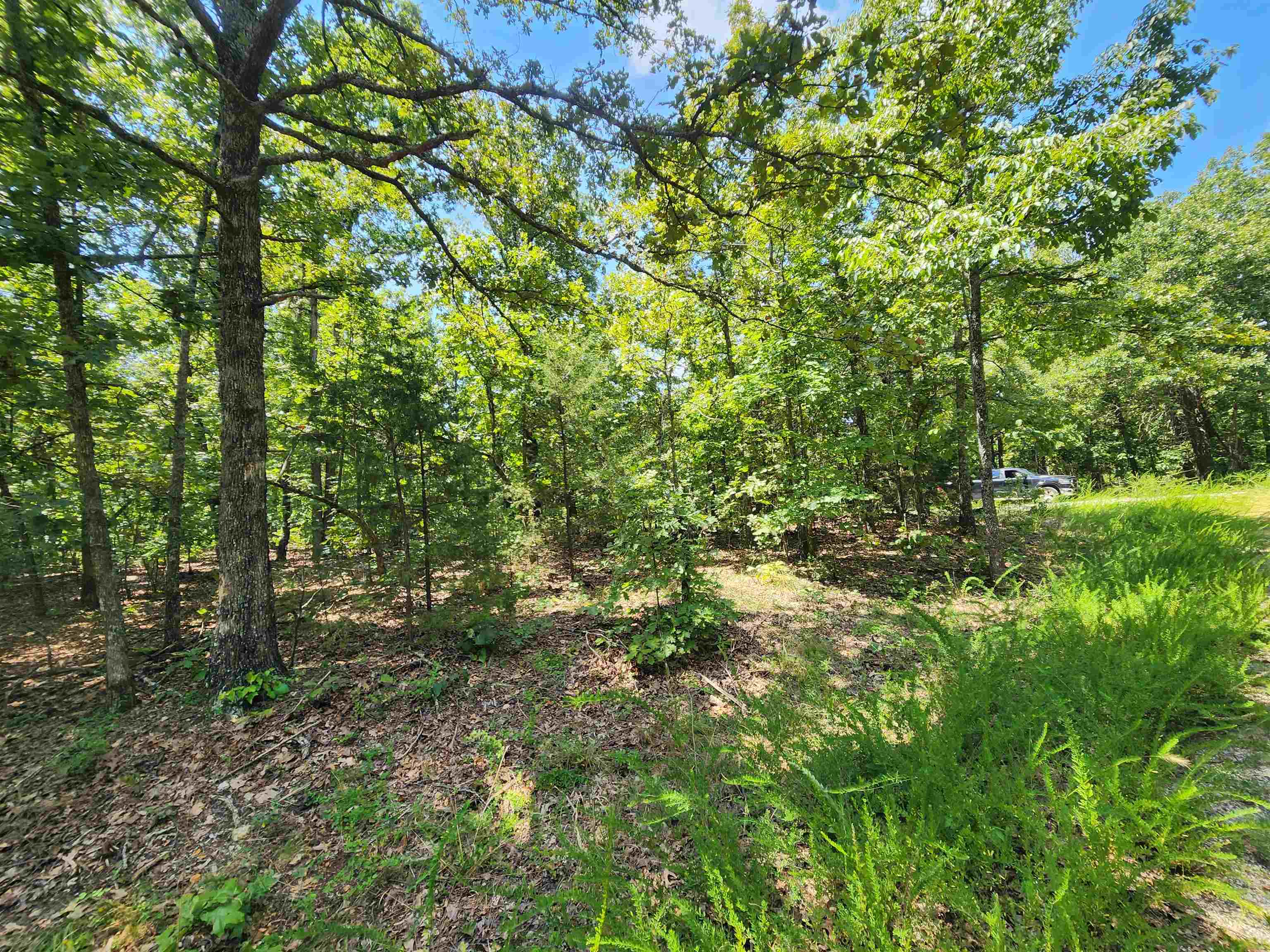 Vacant Land for sale – L-1,2,3, B-19  Nicatouse   Cherokee Village, AR