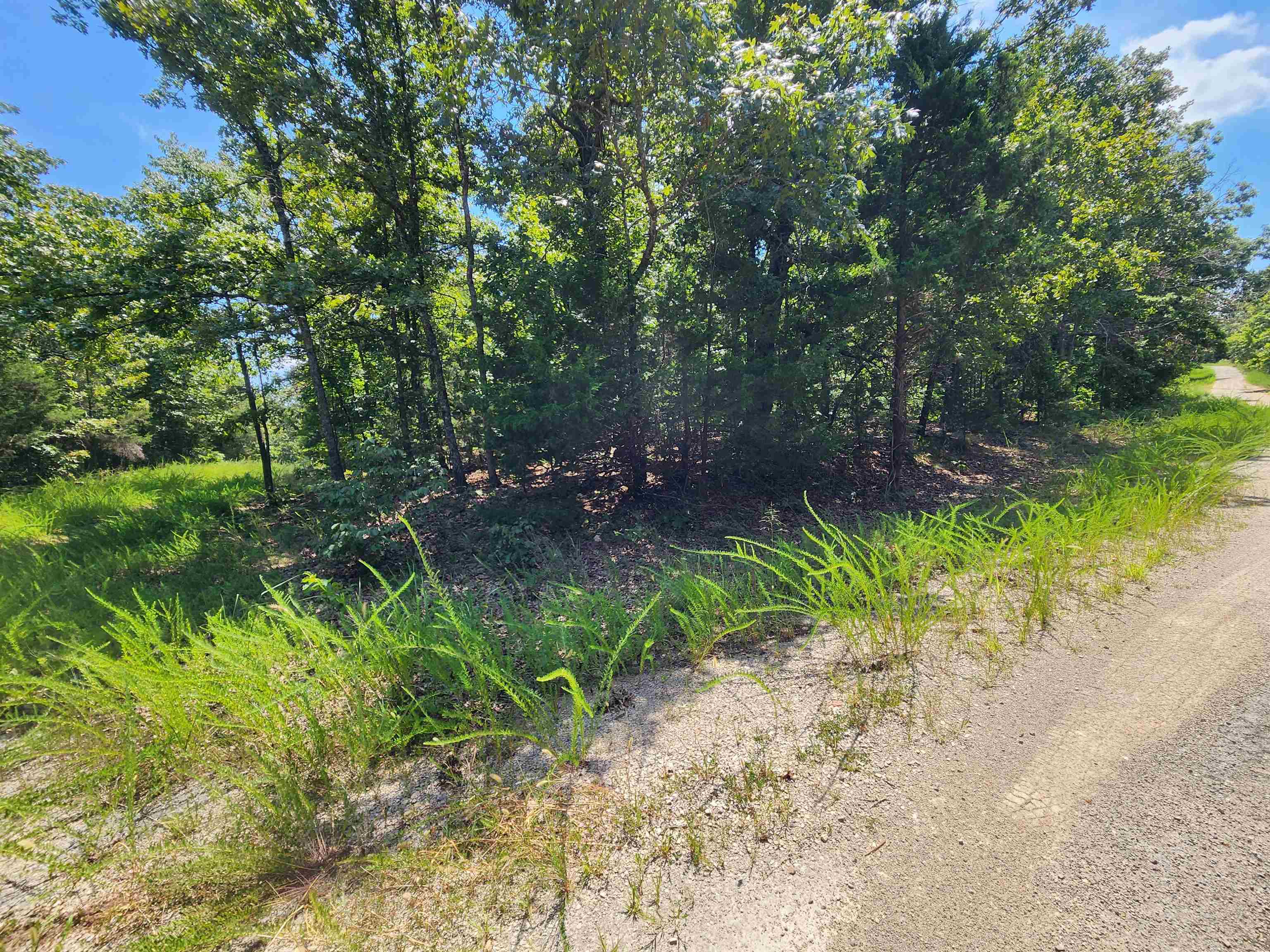 Photo 2 - Vacant Land for sale – L-1,2,3, B-19  Nicatouse   Cherokee Village, AR
