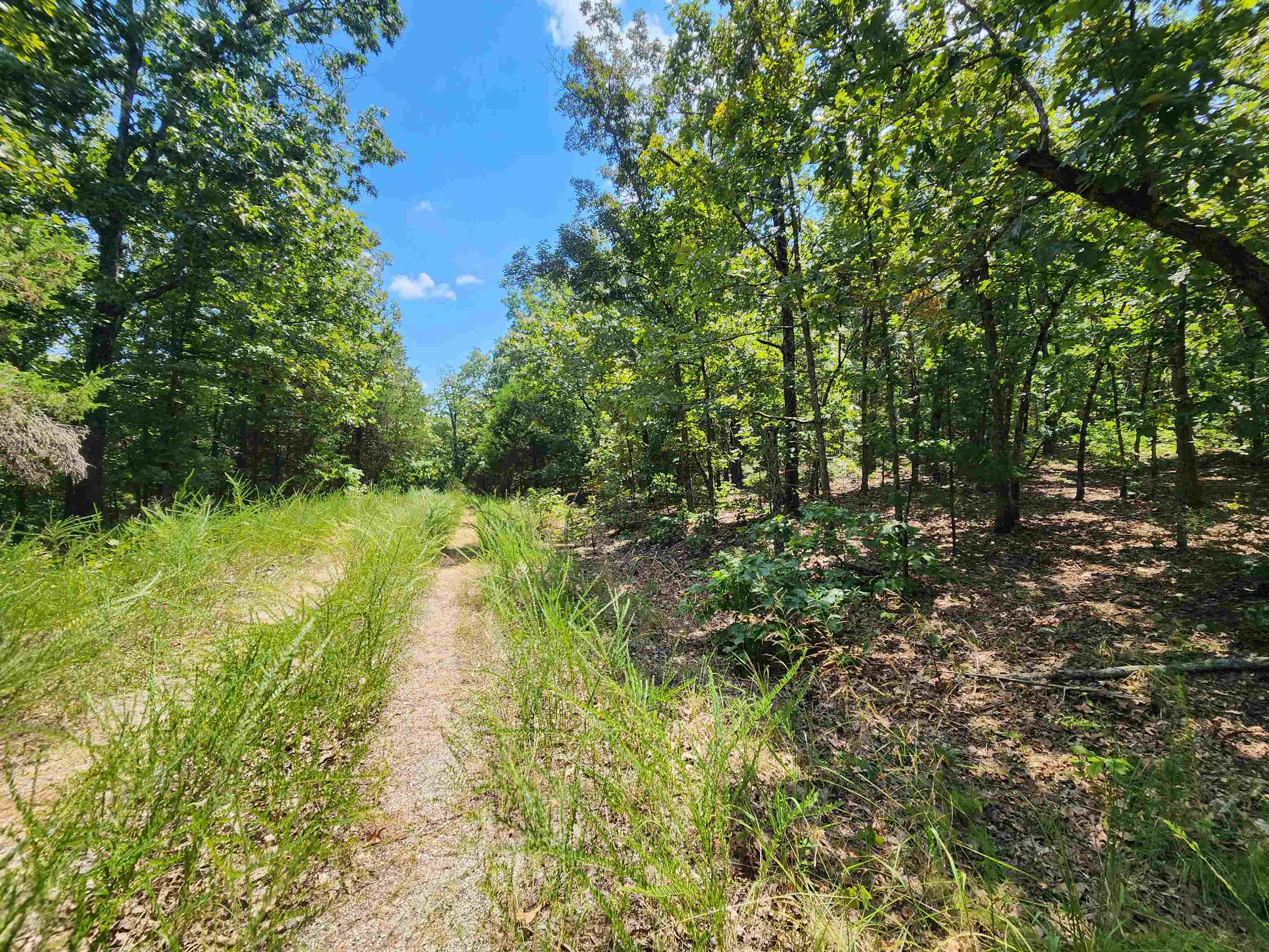 Photo 11 - Vacant Land for sale – L-1,2,3, B-19  Nicatouse   Cherokee Village, AR