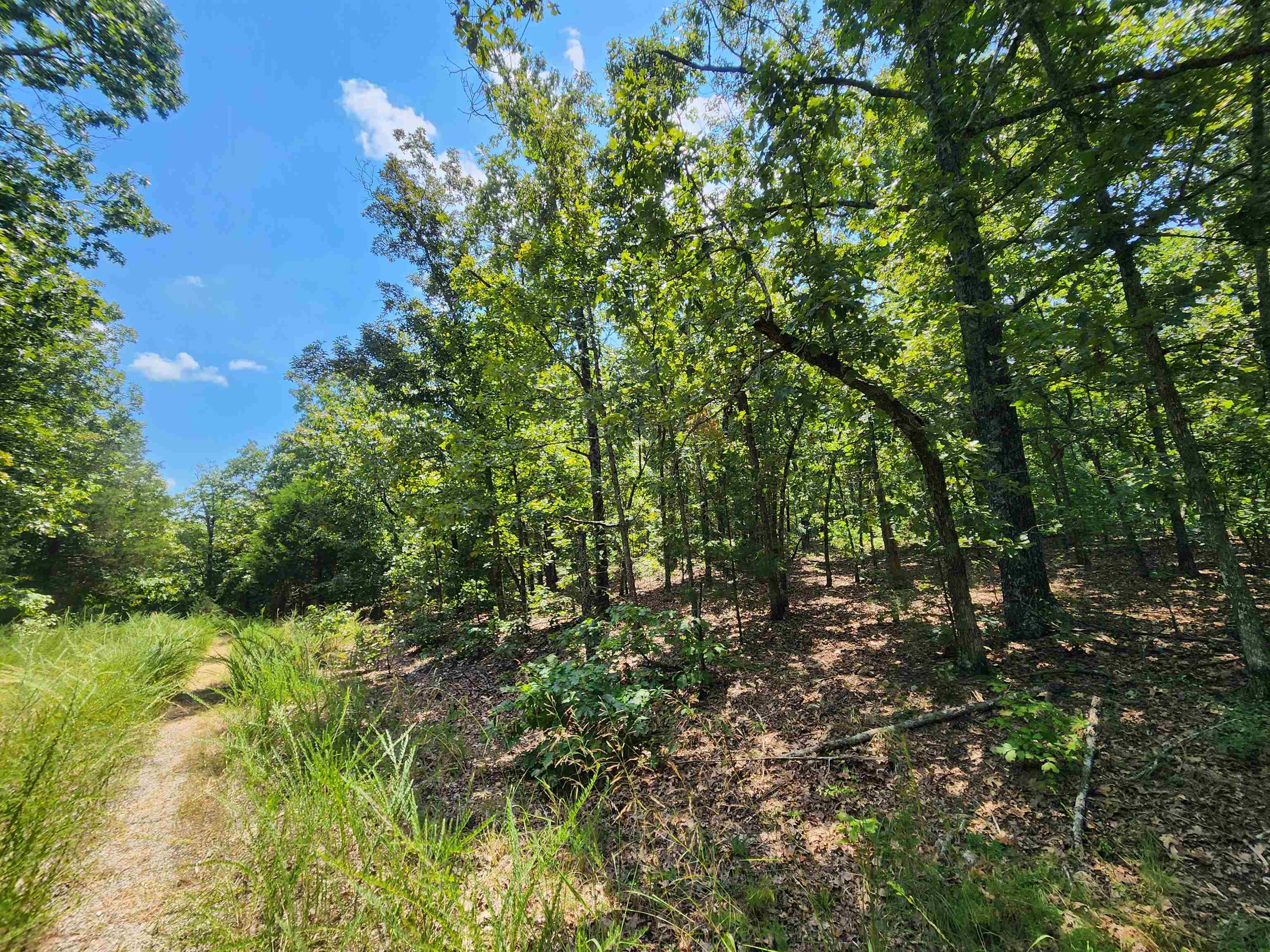Photo 12 - Vacant Land for sale – L-1,2,3, B-19  Nicatouse   Cherokee Village, AR