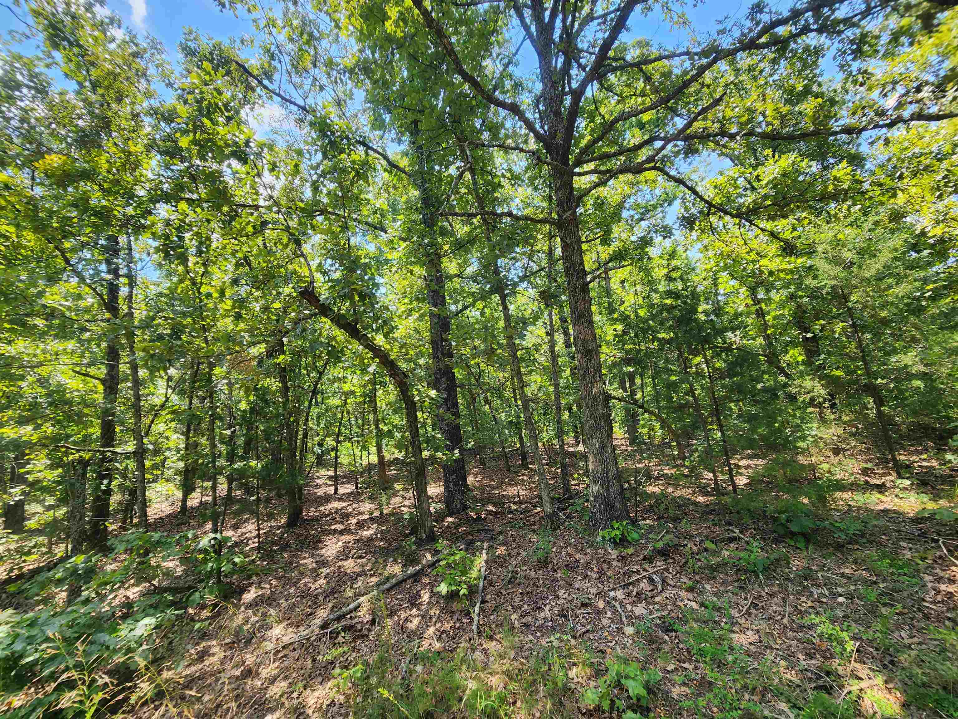 Photo 13 - Vacant Land for sale – L-1,2,3, B-19  Nicatouse   Cherokee Village, AR