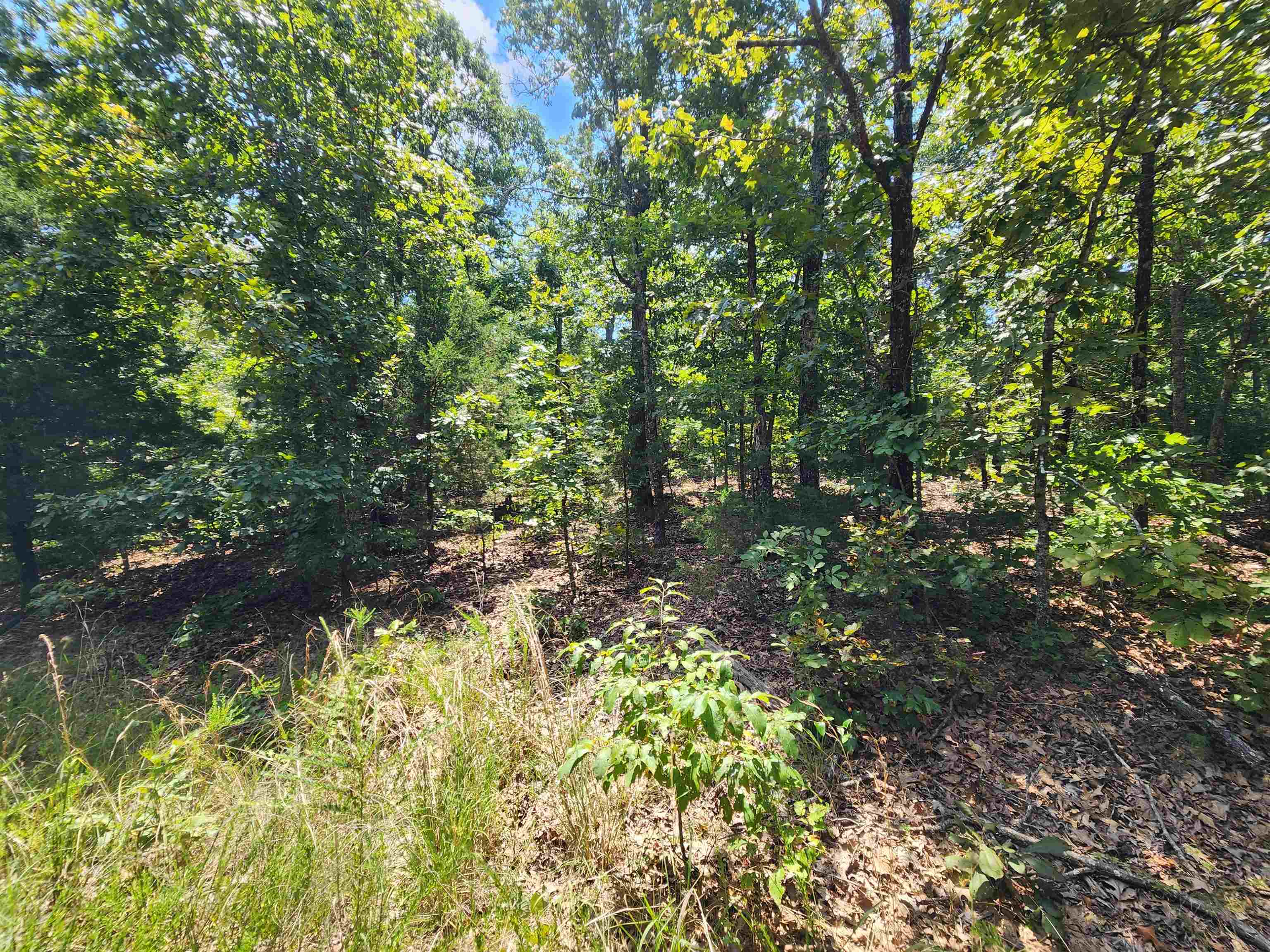 Photo 14 - Vacant Land for sale – L-1,2,3, B-19  Nicatouse   Cherokee Village, AR