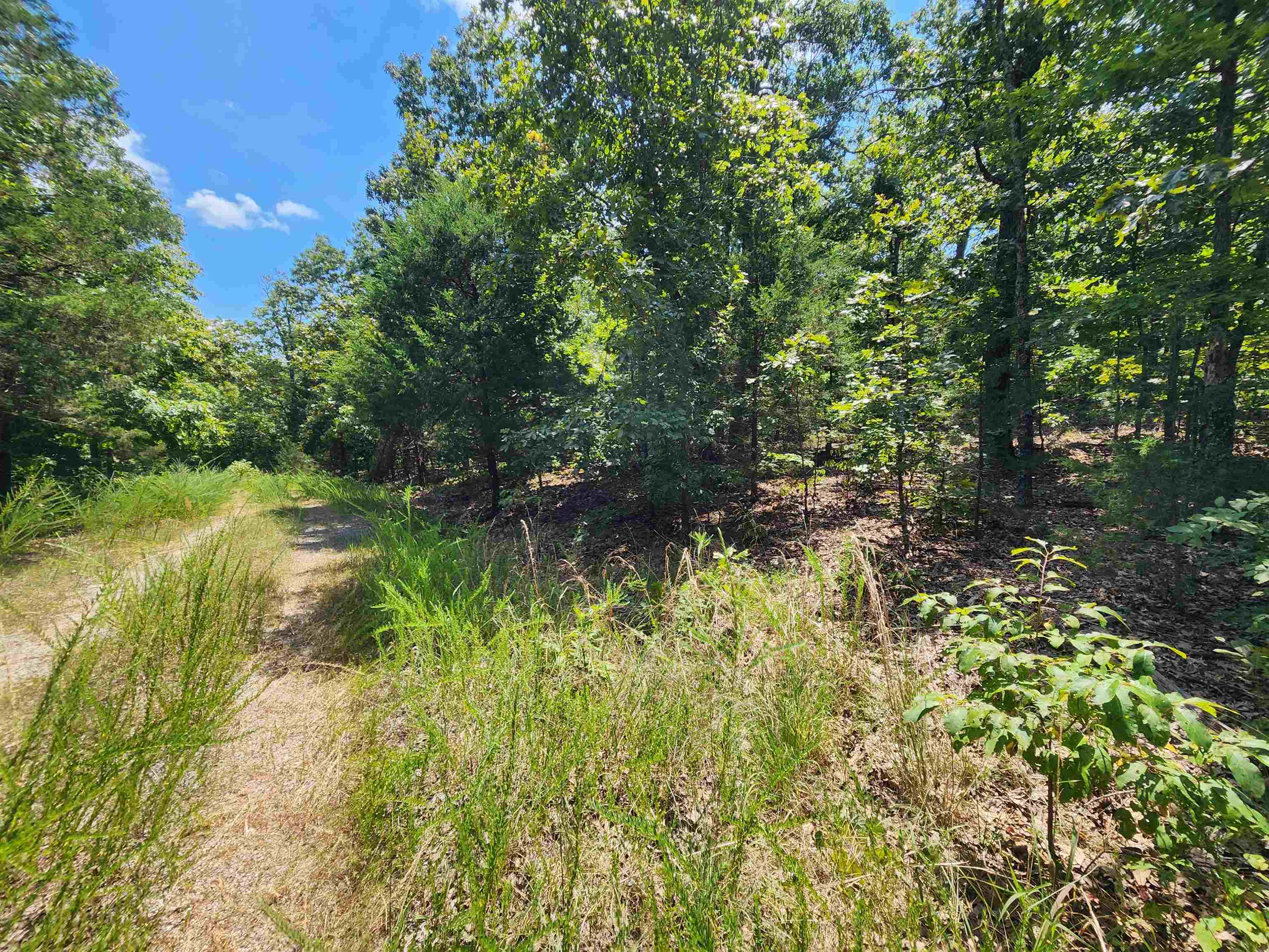 Photo 15 - Vacant Land for sale – L-1,2,3, B-19  Nicatouse   Cherokee Village, AR