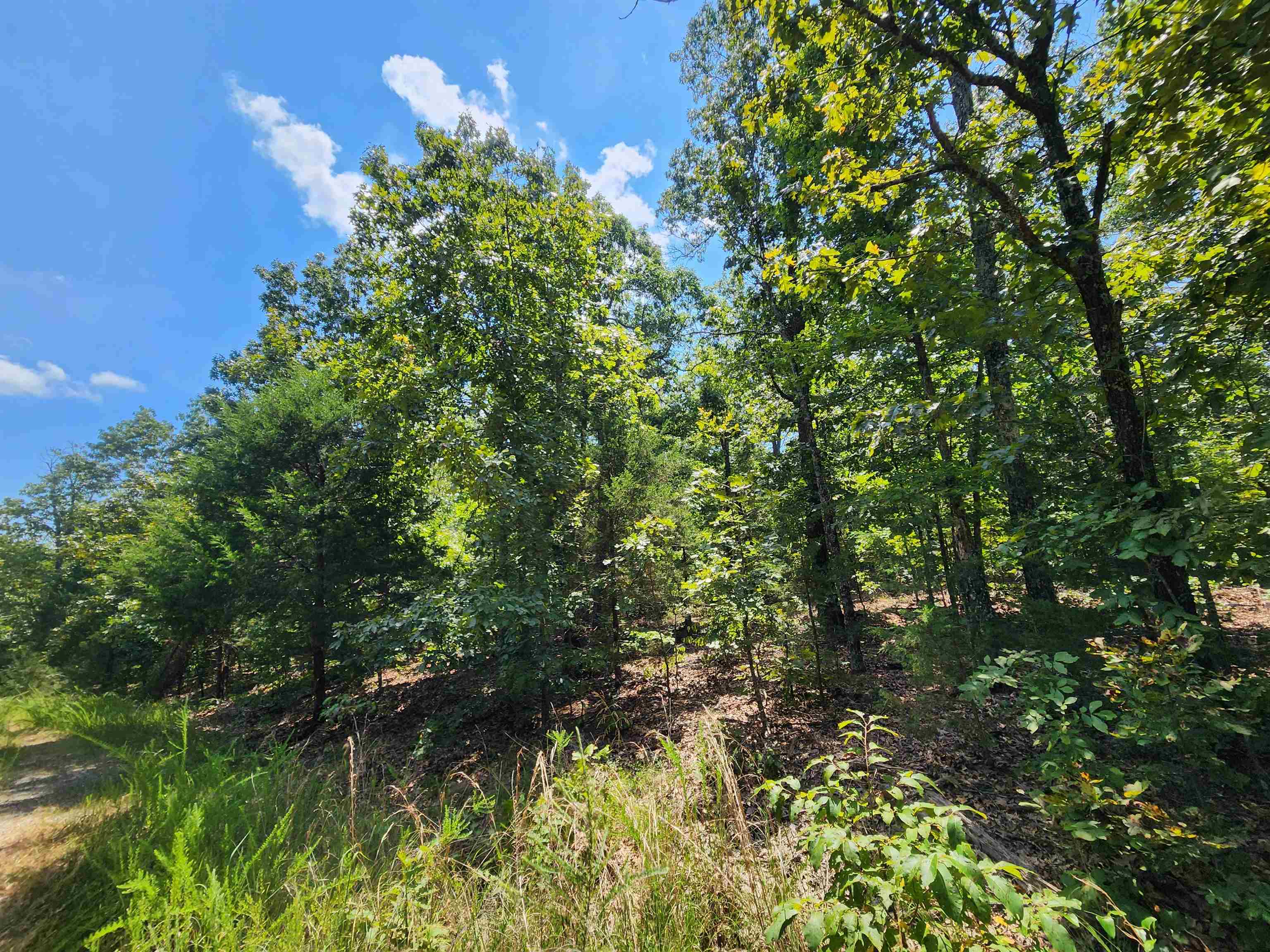 Photo 16 - Vacant Land for sale – L-1,2,3, B-19  Nicatouse   Cherokee Village, AR