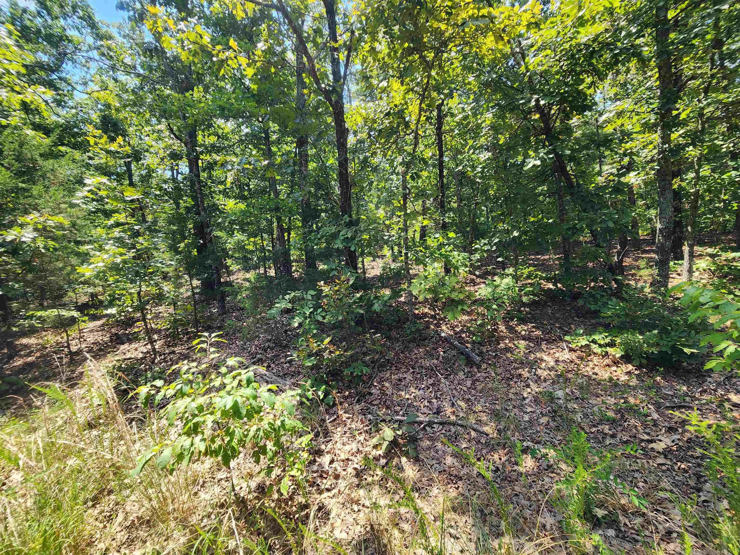 Photo 17 - Vacant Land for sale – L-1,2,3, B-19  Nicatouse   Cherokee Village, AR