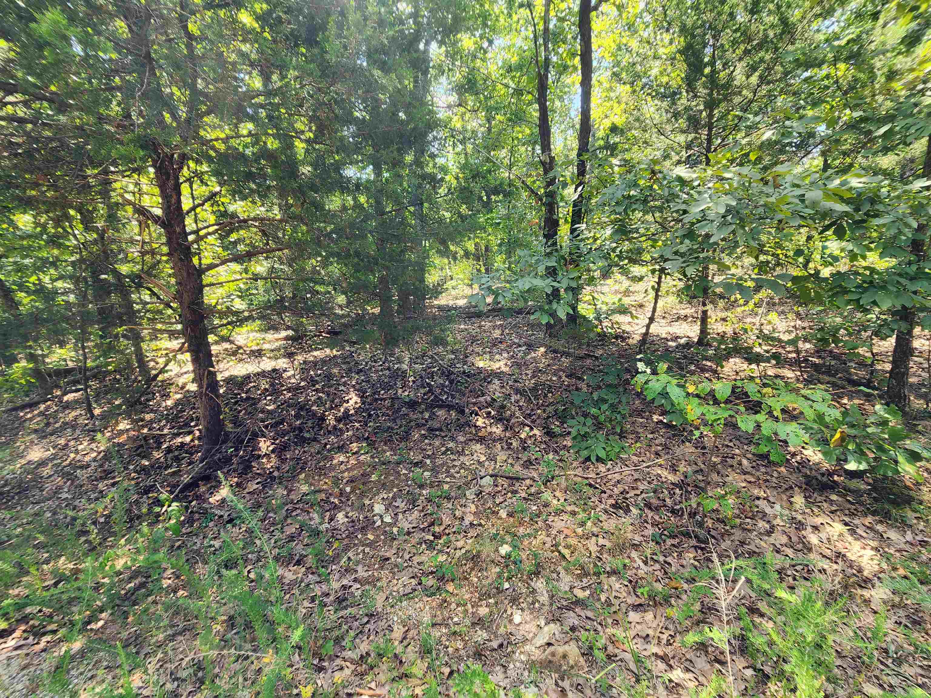 Photo 18 - Vacant Land for sale – L-1,2,3, B-19  Nicatouse   Cherokee Village, AR