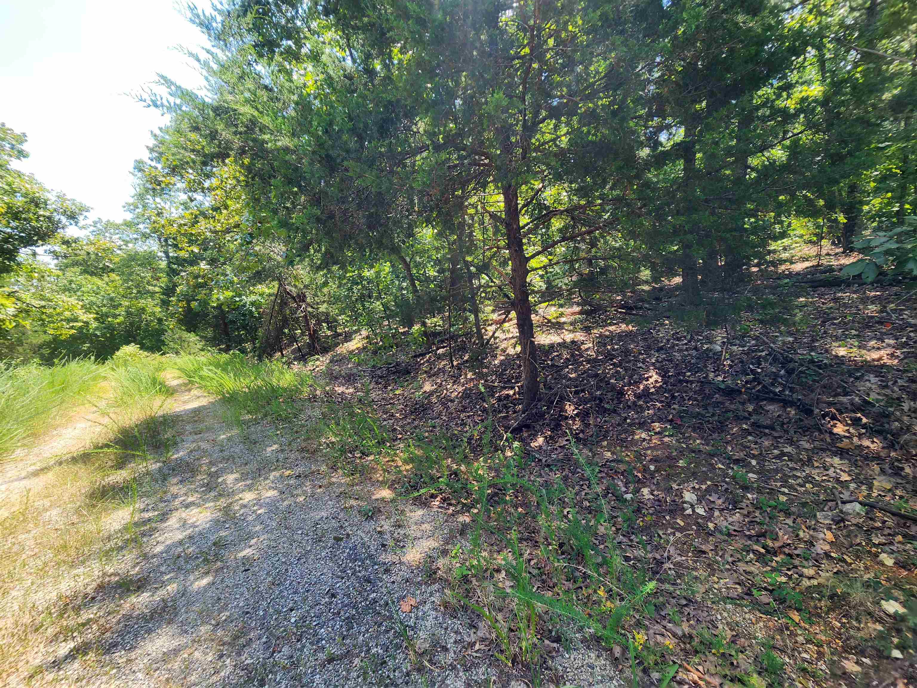 Photo 19 - Vacant Land for sale – L-1,2,3, B-19  Nicatouse   Cherokee Village, AR