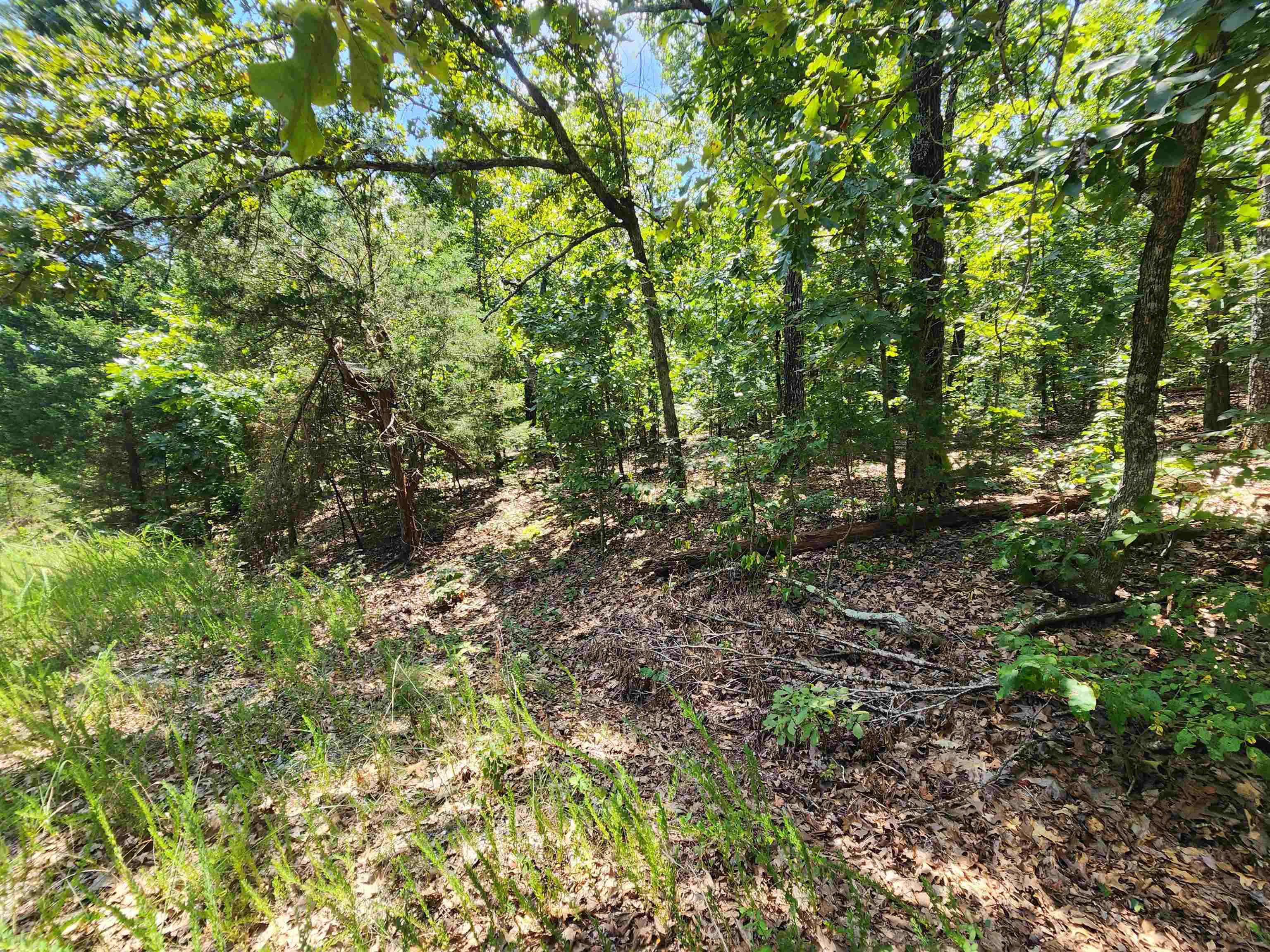 Photo 20 - Vacant Land for sale – L-1,2,3, B-19  Nicatouse   Cherokee Village, AR