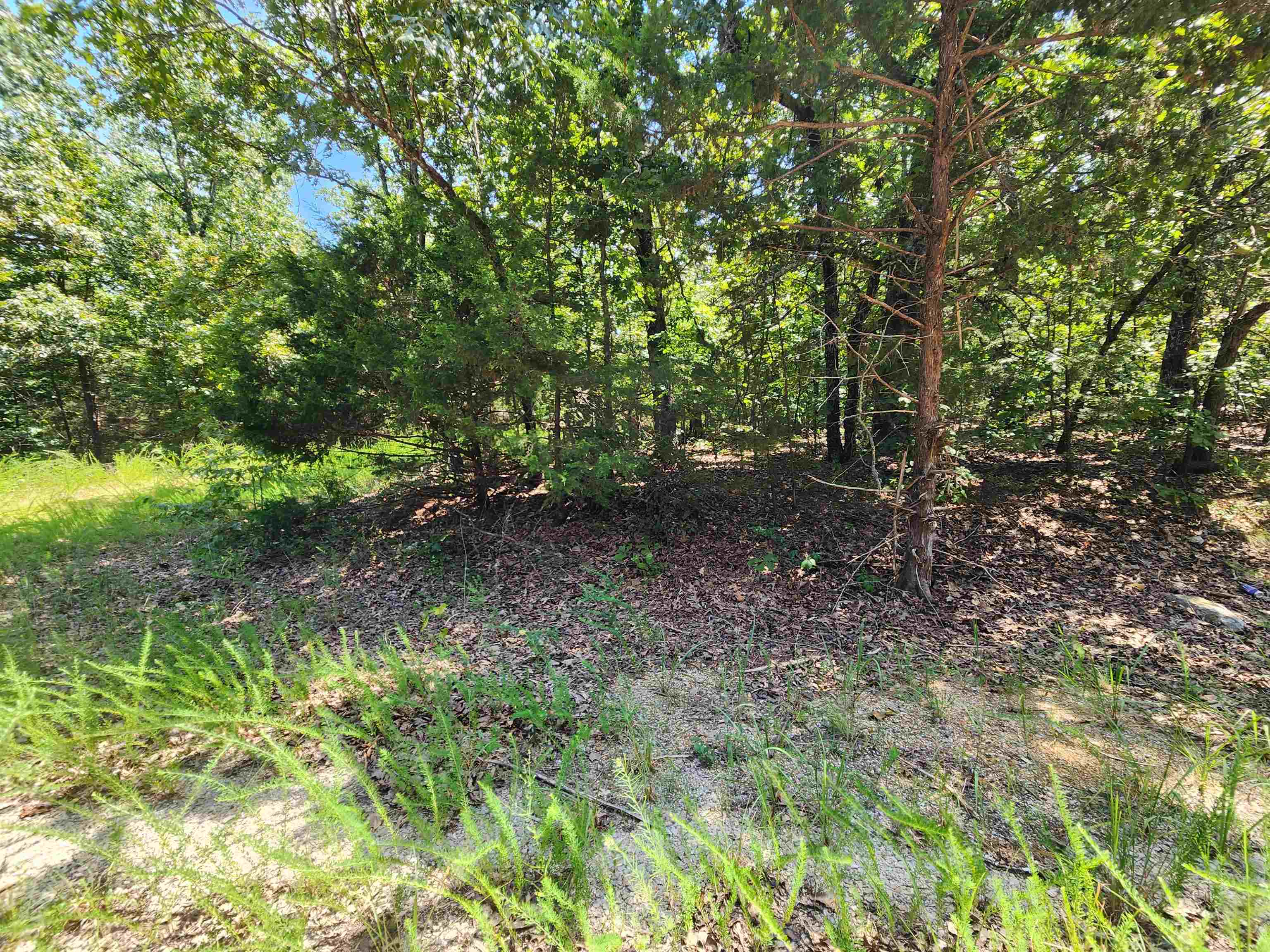 Photo 3 - Vacant Land for sale – L-1,2,3, B-19  Nicatouse   Cherokee Village, AR