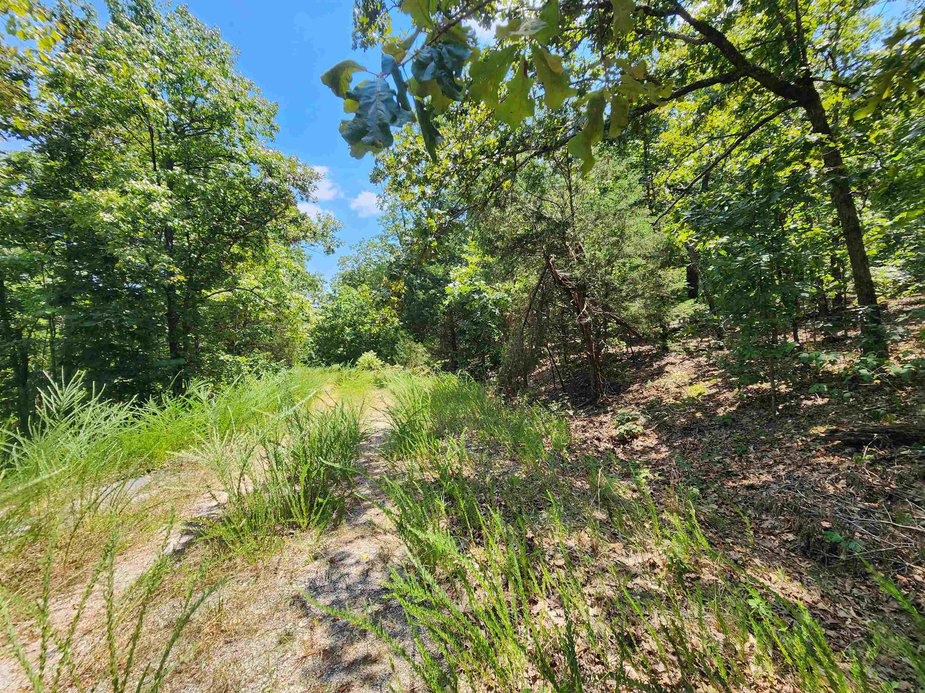 Photo 21 - Vacant Land for sale – L-1,2,3, B-19  Nicatouse   Cherokee Village, AR
