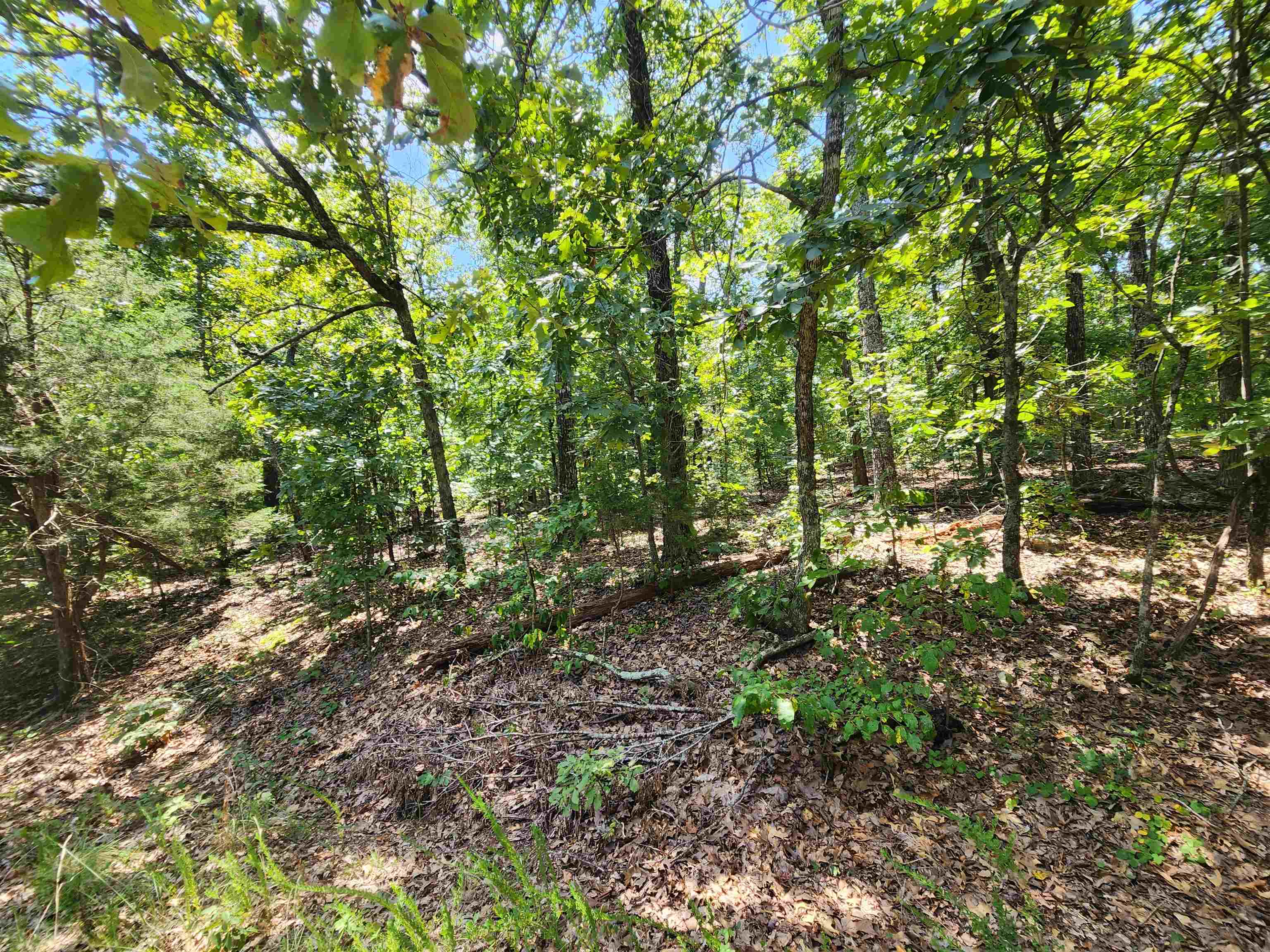 Photo 22 - Vacant Land for sale – L-1,2,3, B-19  Nicatouse   Cherokee Village, AR
