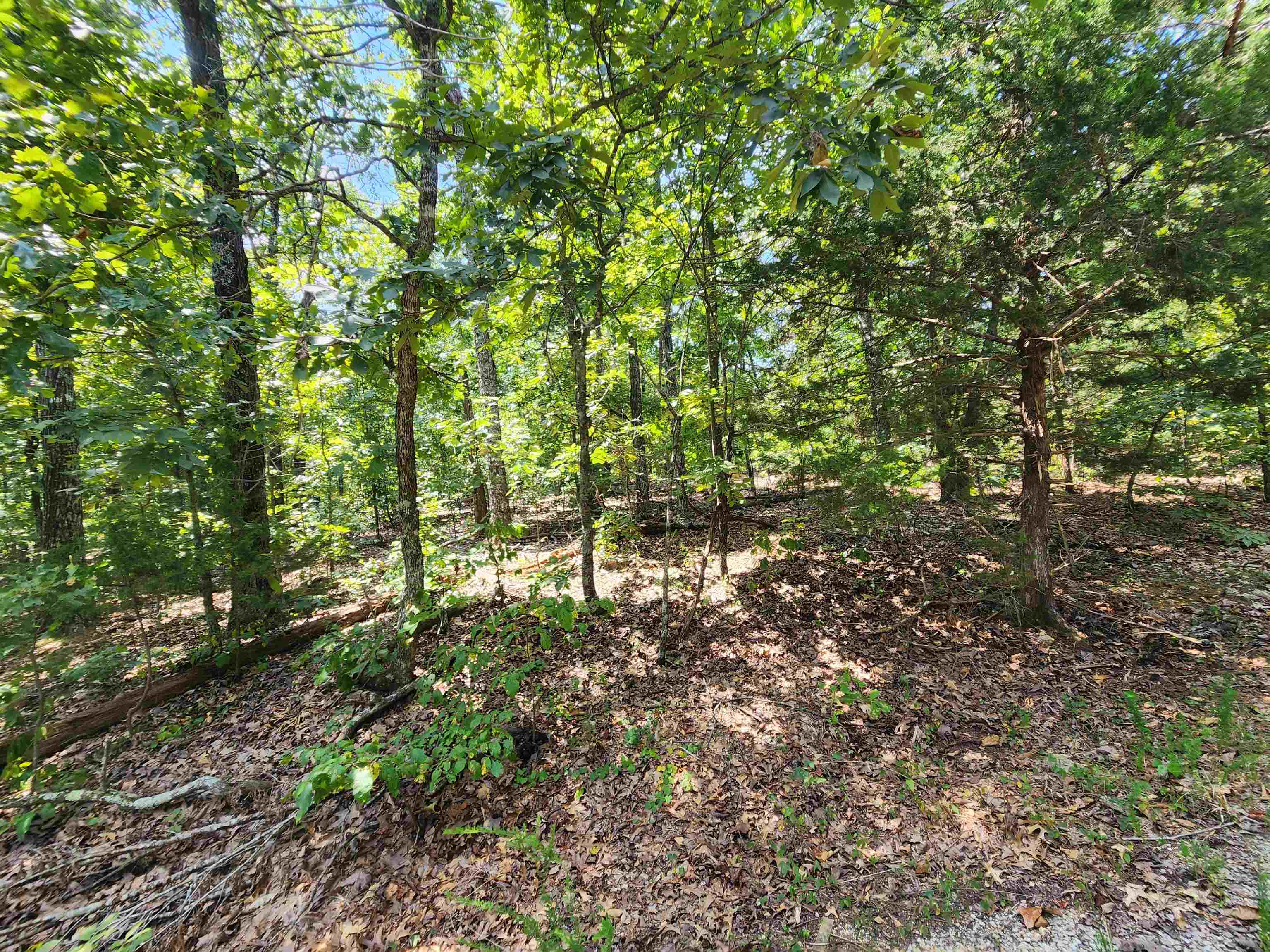 Photo 23 - Vacant Land for sale – L-1,2,3, B-19  Nicatouse   Cherokee Village, AR