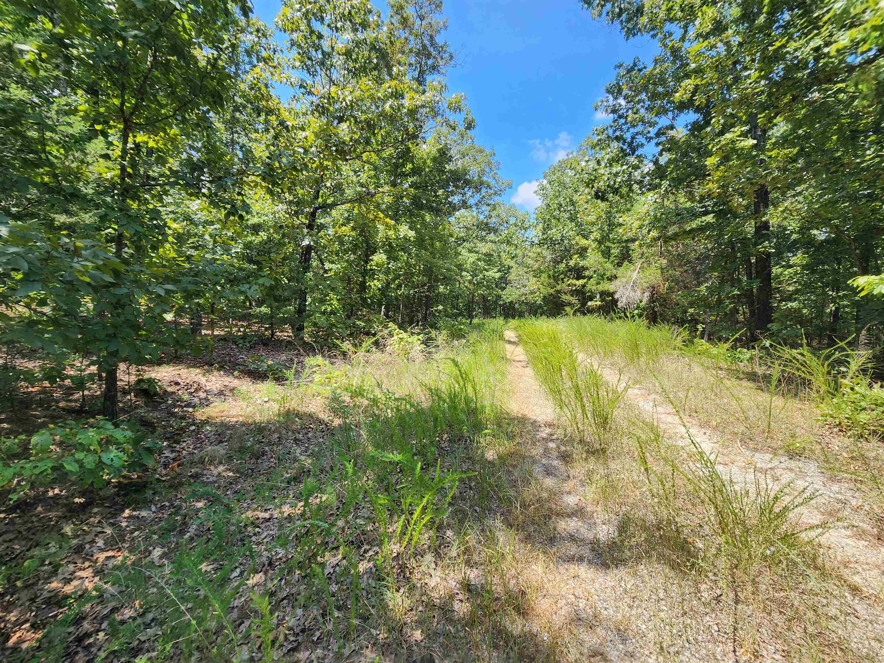 Photo 24 - Vacant Land for sale – L-1,2,3, B-19  Nicatouse   Cherokee Village, AR