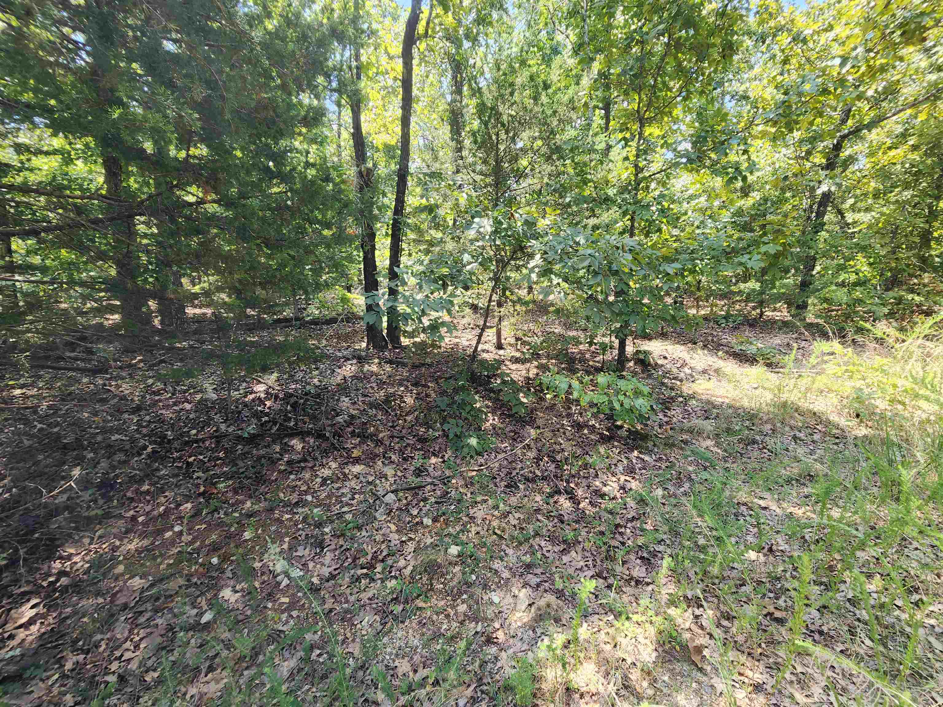 Photo 25 - Vacant Land for sale – L-1,2,3, B-19  Nicatouse   Cherokee Village, AR
