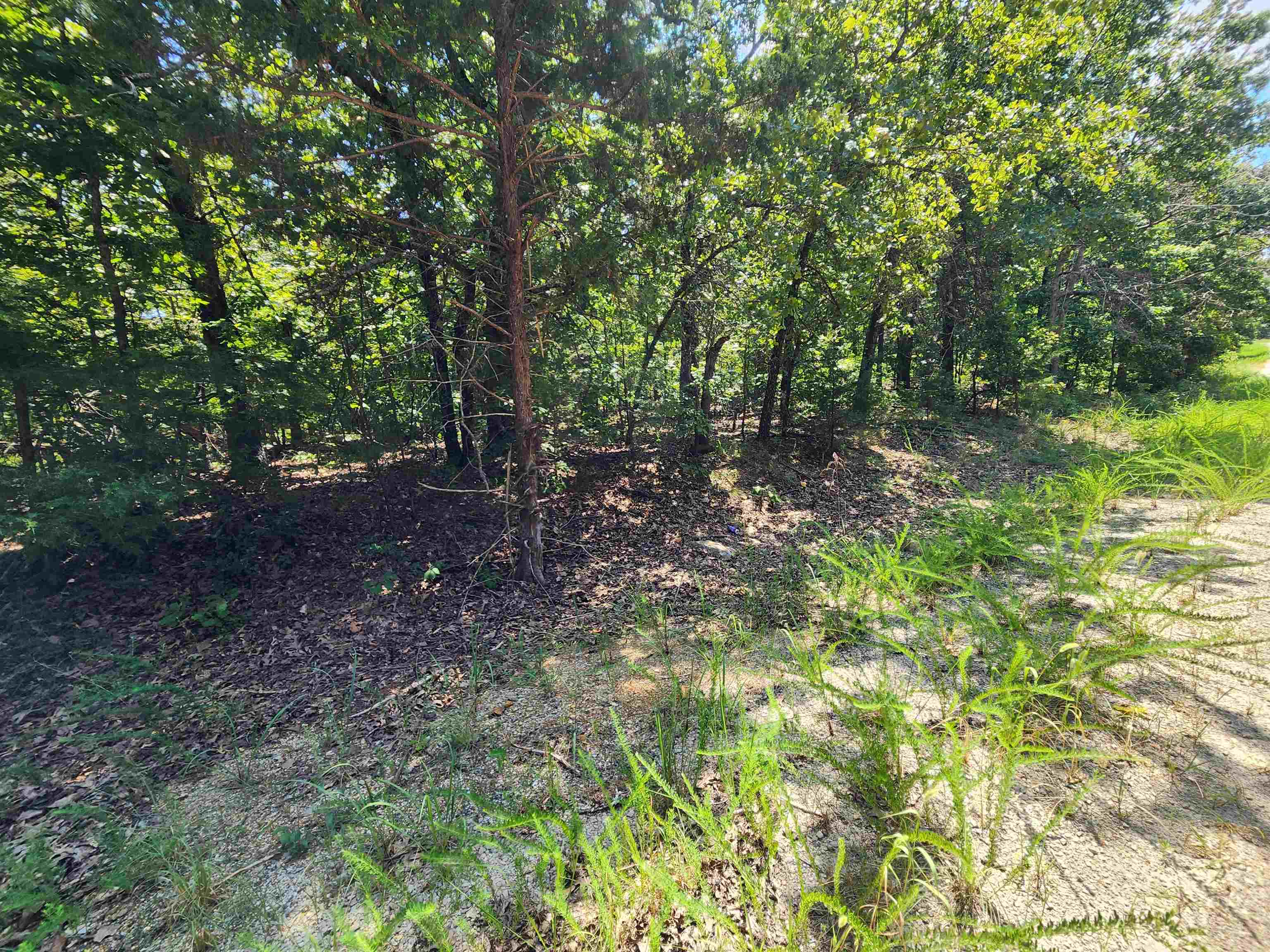 Photo 4 - Vacant Land for sale – L-1,2,3, B-19  Nicatouse   Cherokee Village, AR