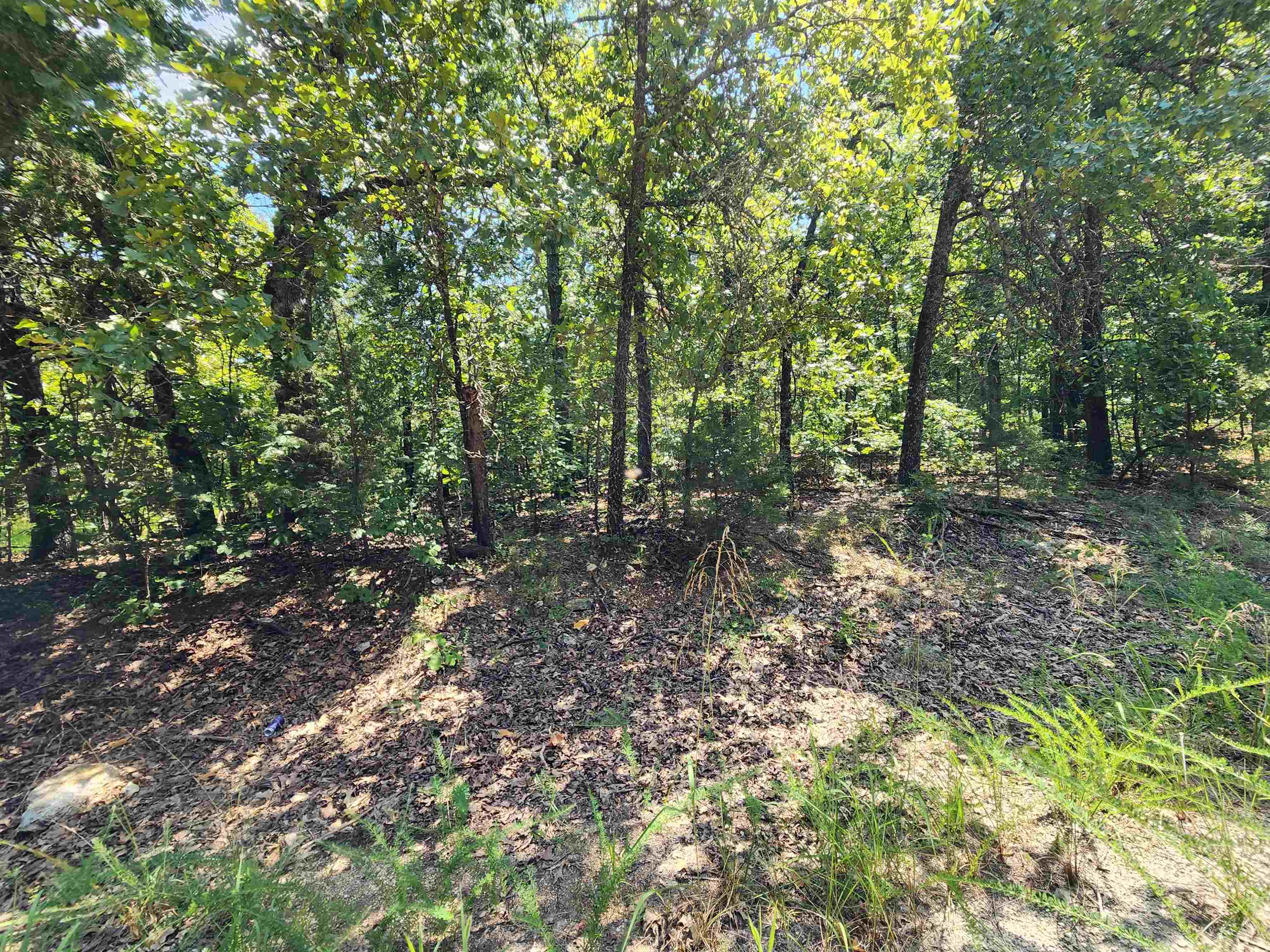 Photo 5 - Vacant Land for sale – L-1,2,3, B-19  Nicatouse   Cherokee Village, AR