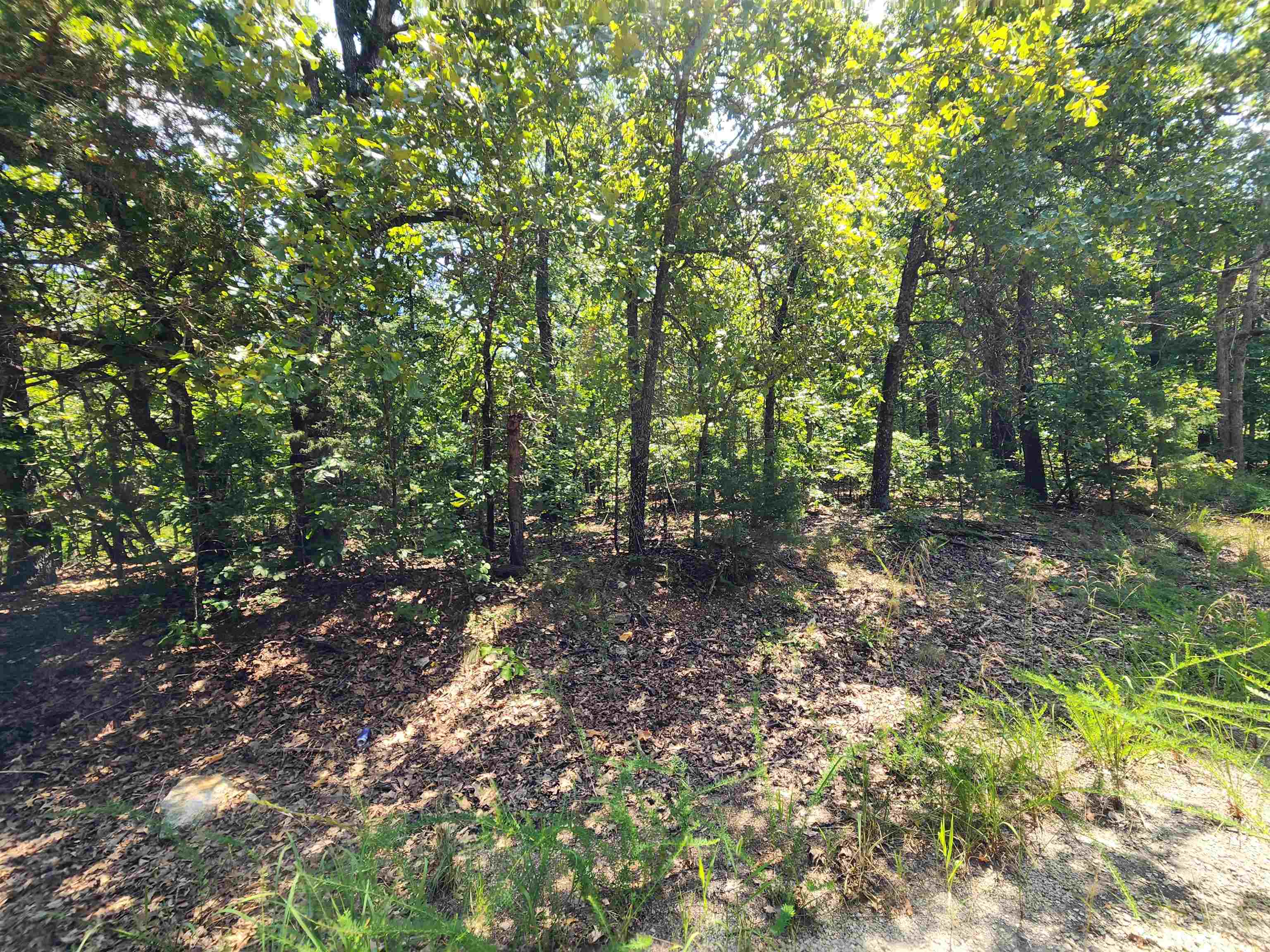Photo 6 - Vacant Land for sale – L-1,2,3, B-19  Nicatouse   Cherokee Village, AR