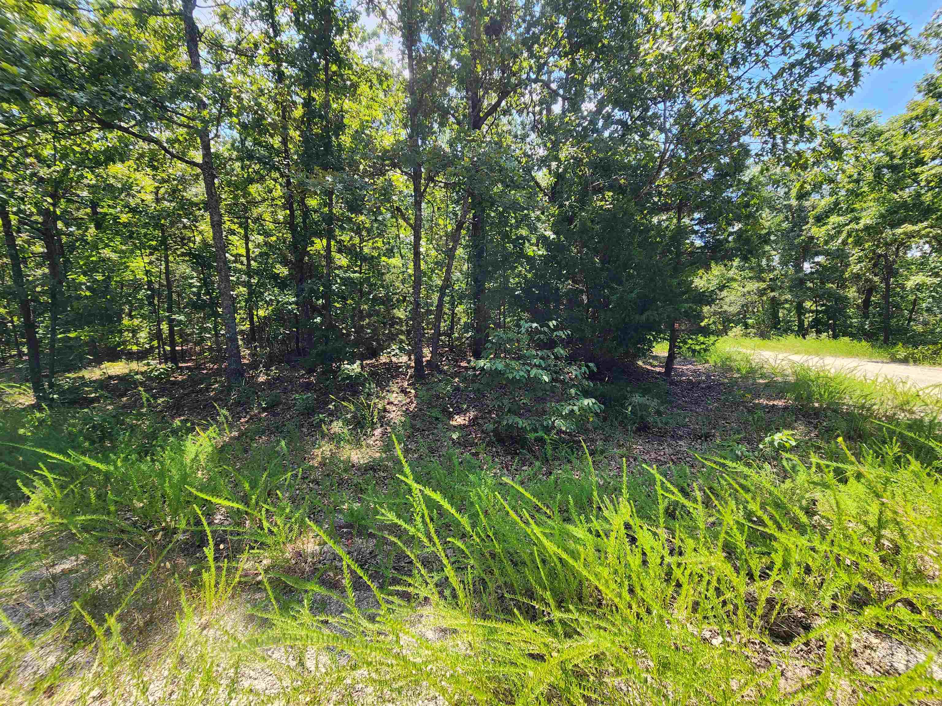 Photo 7 - Vacant Land for sale – L-1,2,3, B-19  Nicatouse   Cherokee Village, AR