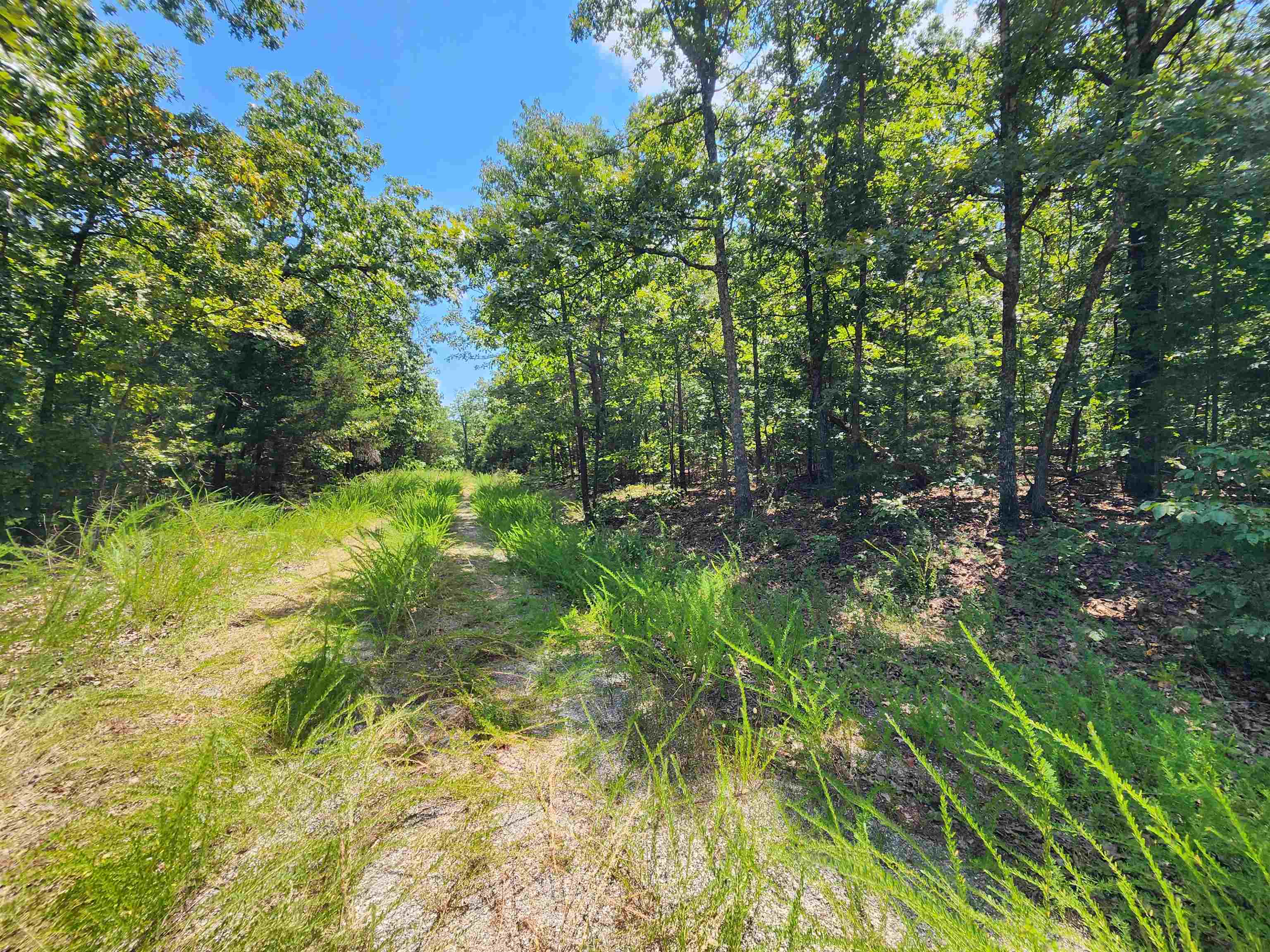 Photo 8 - Vacant Land for sale – L-1,2,3, B-19  Nicatouse   Cherokee Village, AR