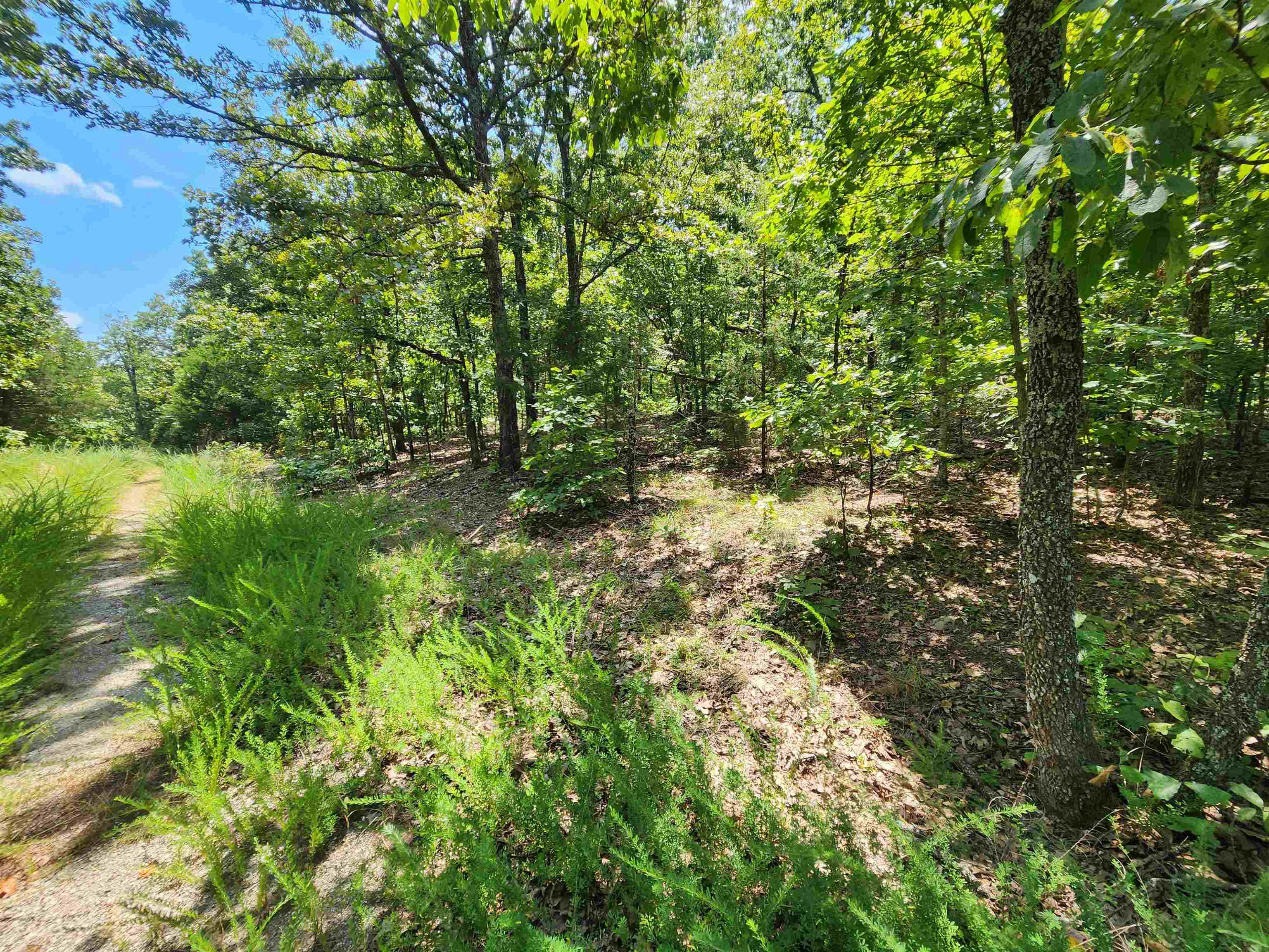 Photo 9 - Vacant Land for sale – L-1,2,3, B-19  Nicatouse   Cherokee Village, AR