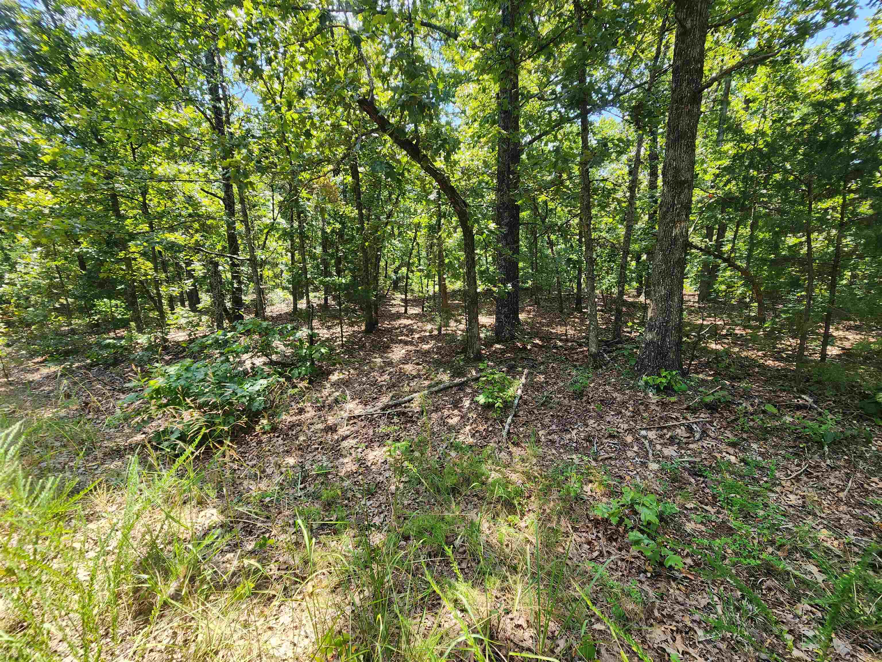 Photo 10 - Vacant Land for sale – L-1,2,3, B-19  Nicatouse   Cherokee Village, AR