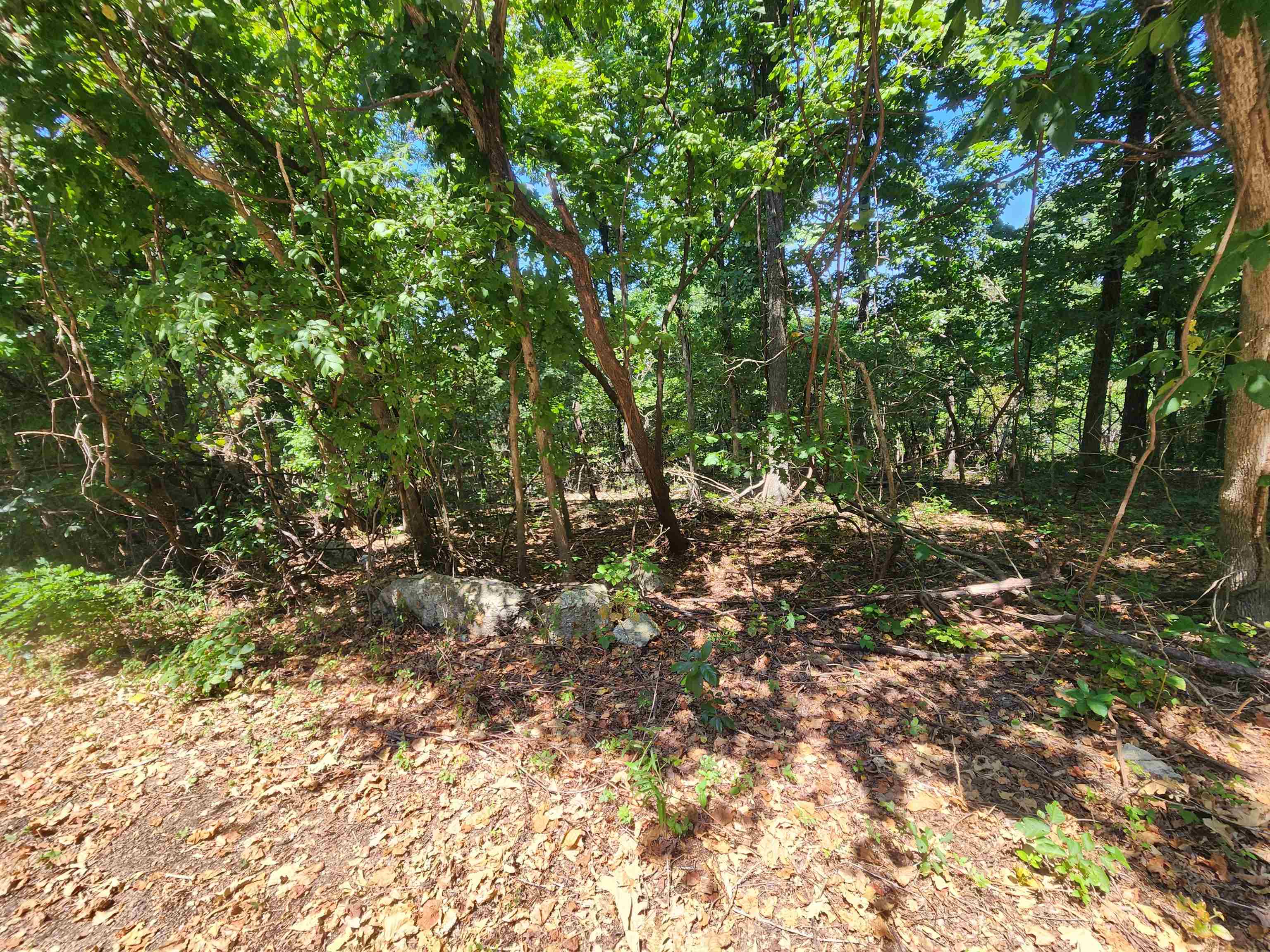 Vacant Land for sale – L28, B6  Zia   Cherokee Village, AR